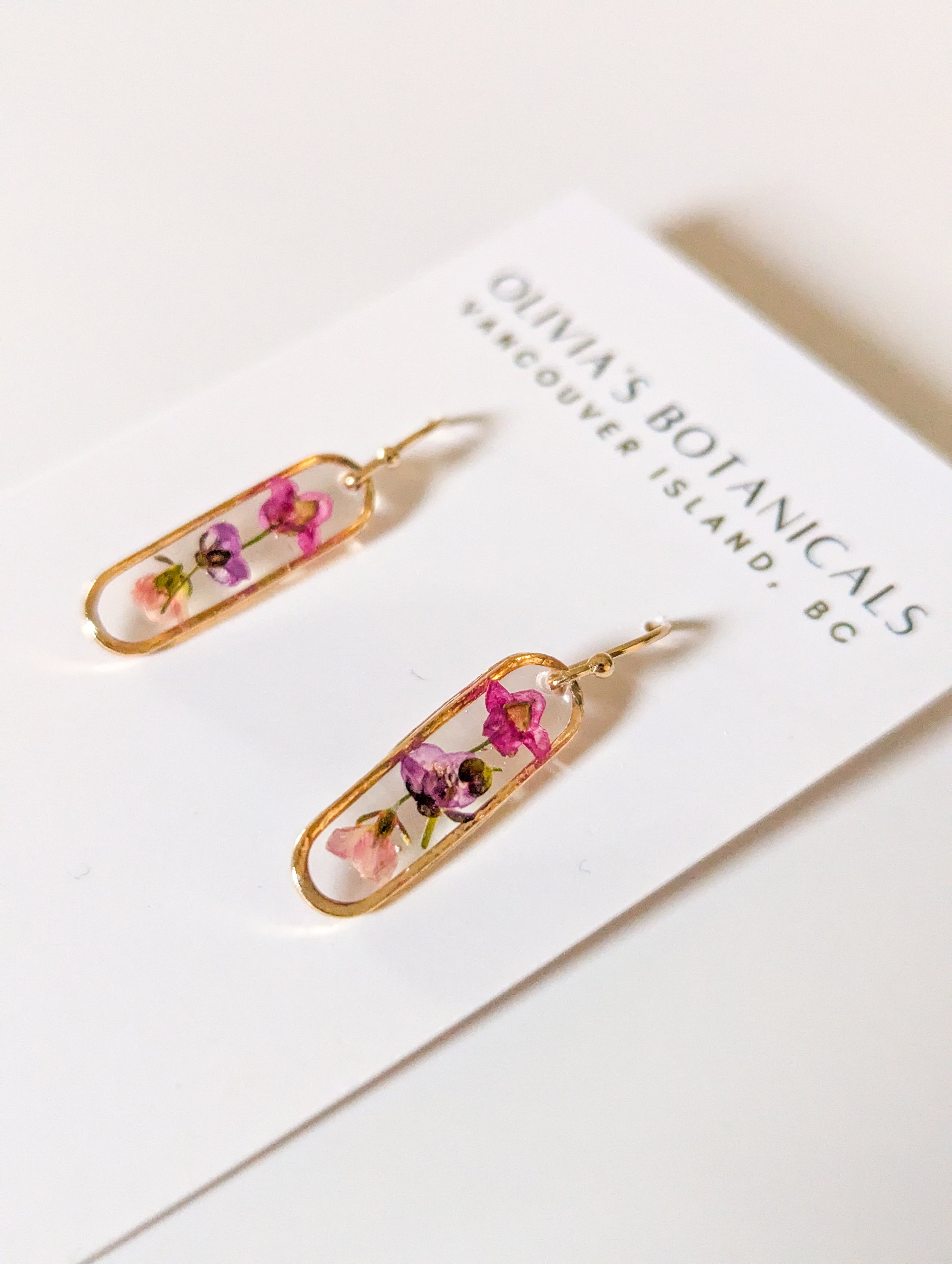 Alyssum Minis