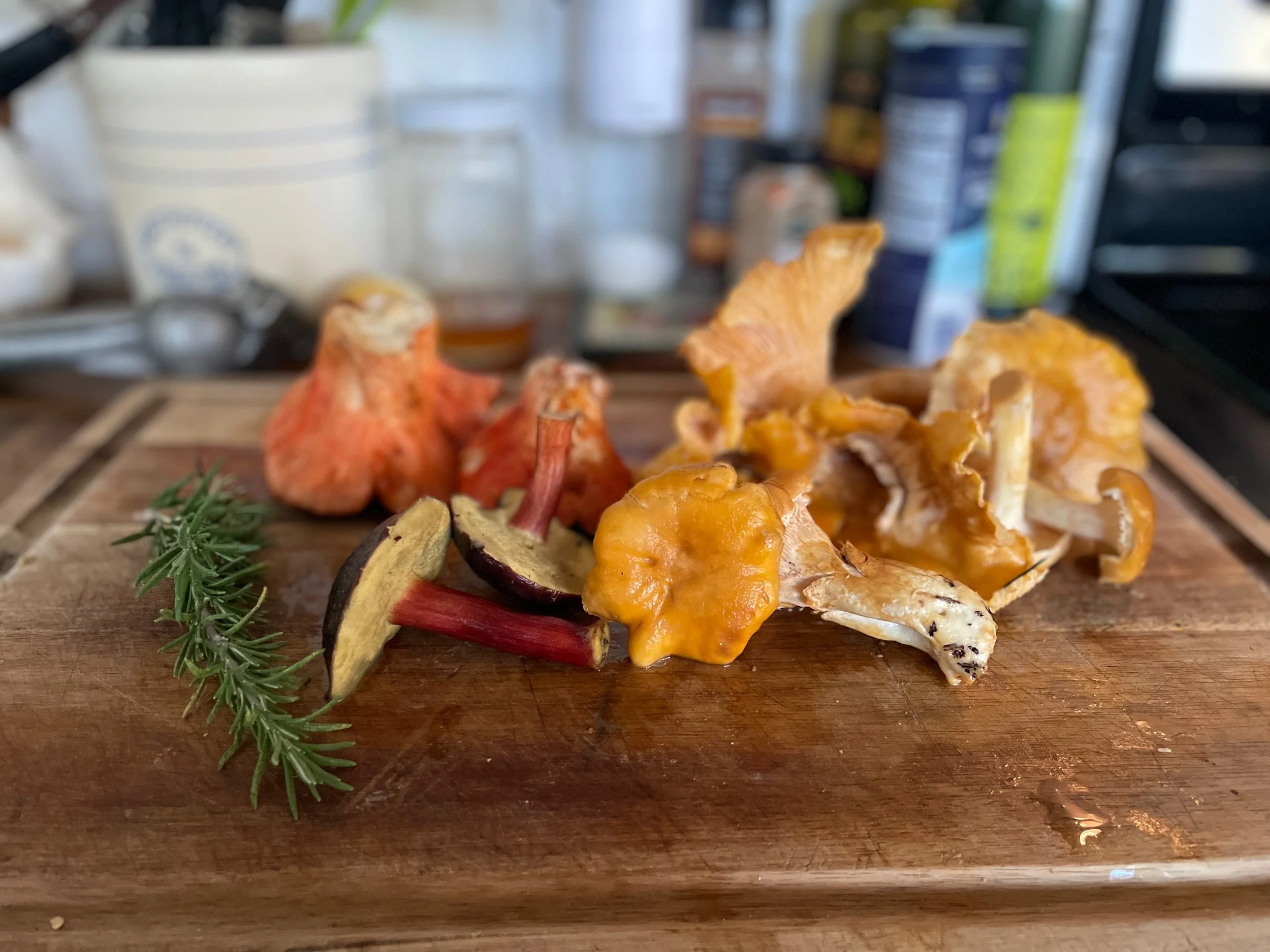 Foraging is a system for community