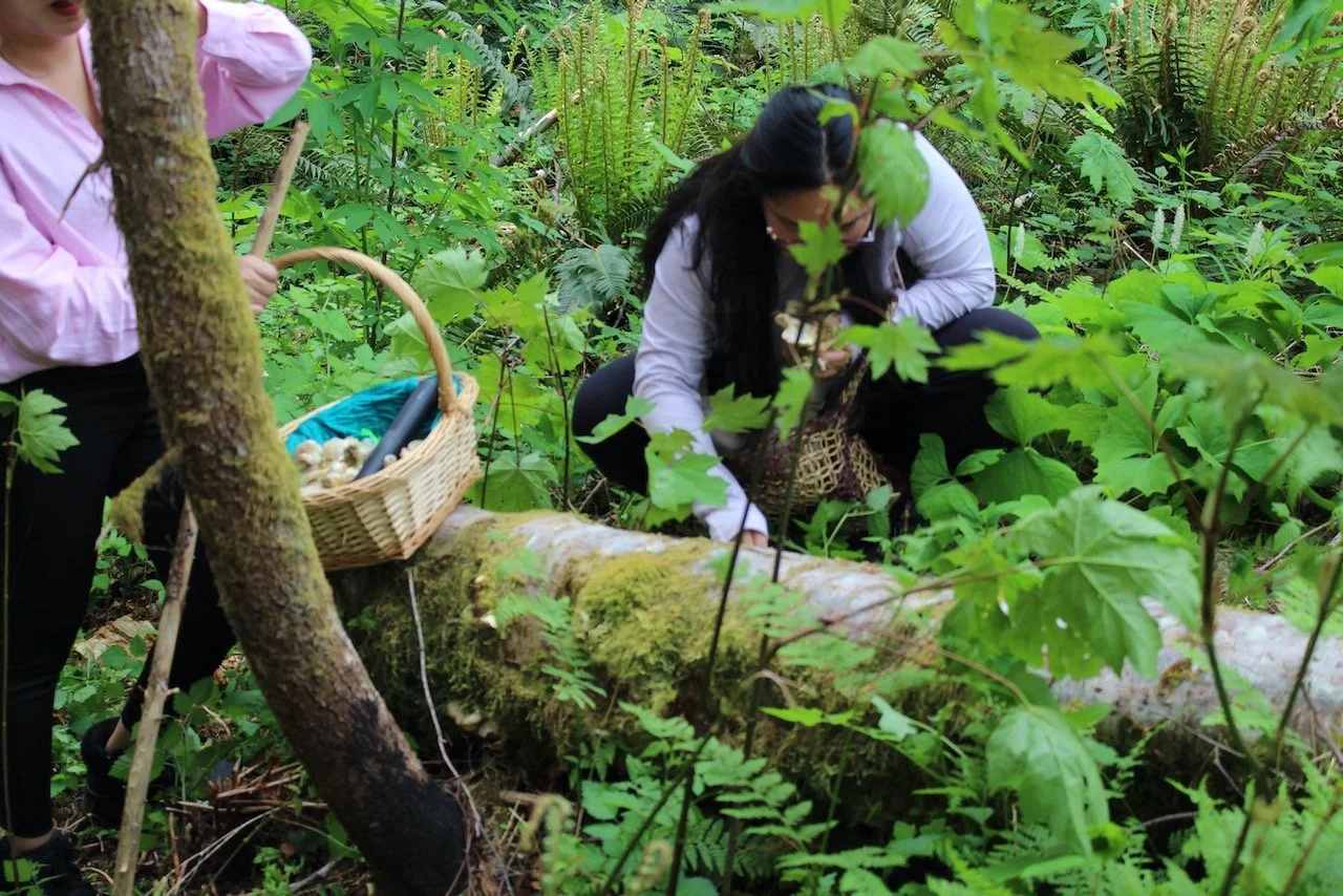Private Mushroom Tours