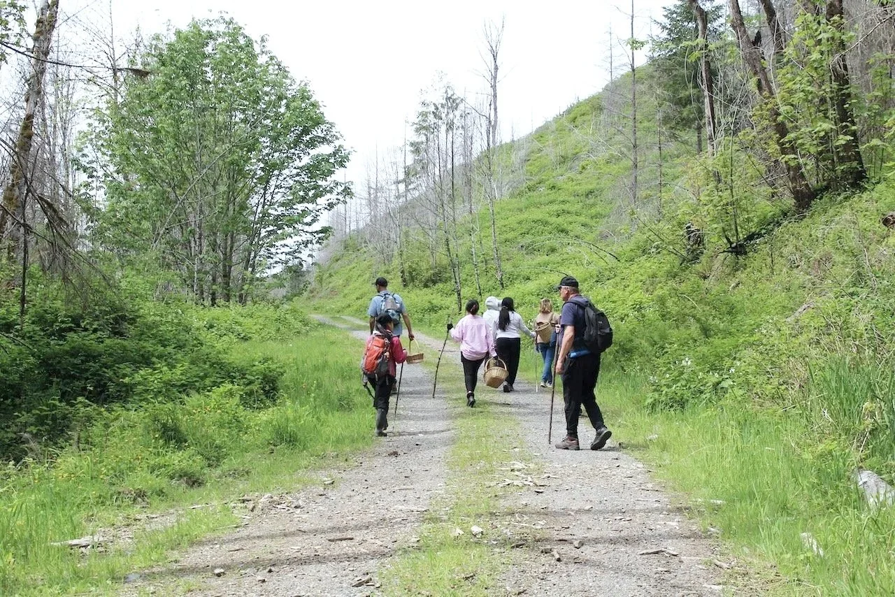 Wild Mushroom Foraging Gift Card