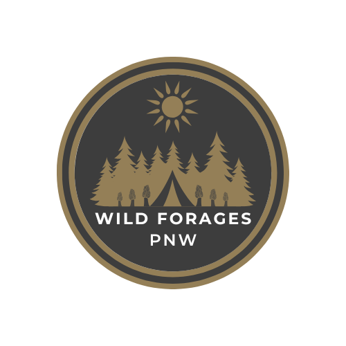 Wild Mushroom Foraging Gift Card