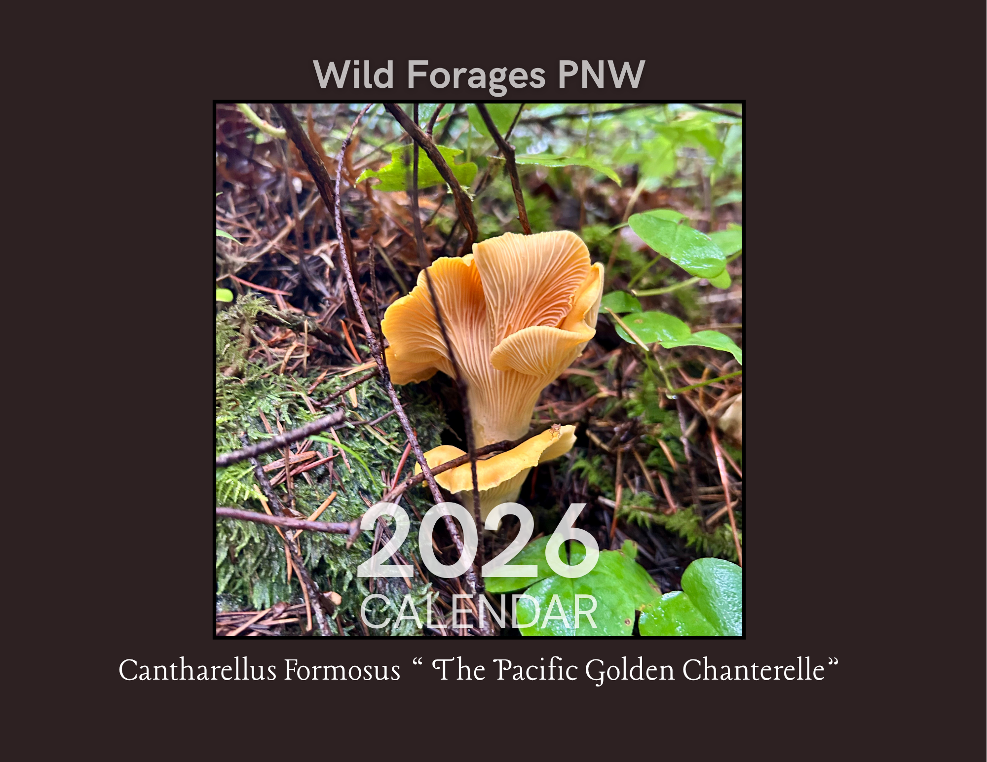Wild Forages 2026 Calendar.png
