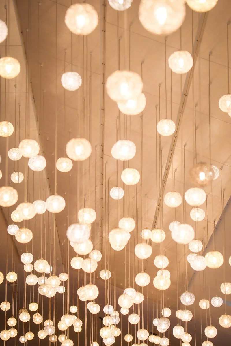 Jelly Wedding Photos -The Neurodivergent Photographer-3.jpg