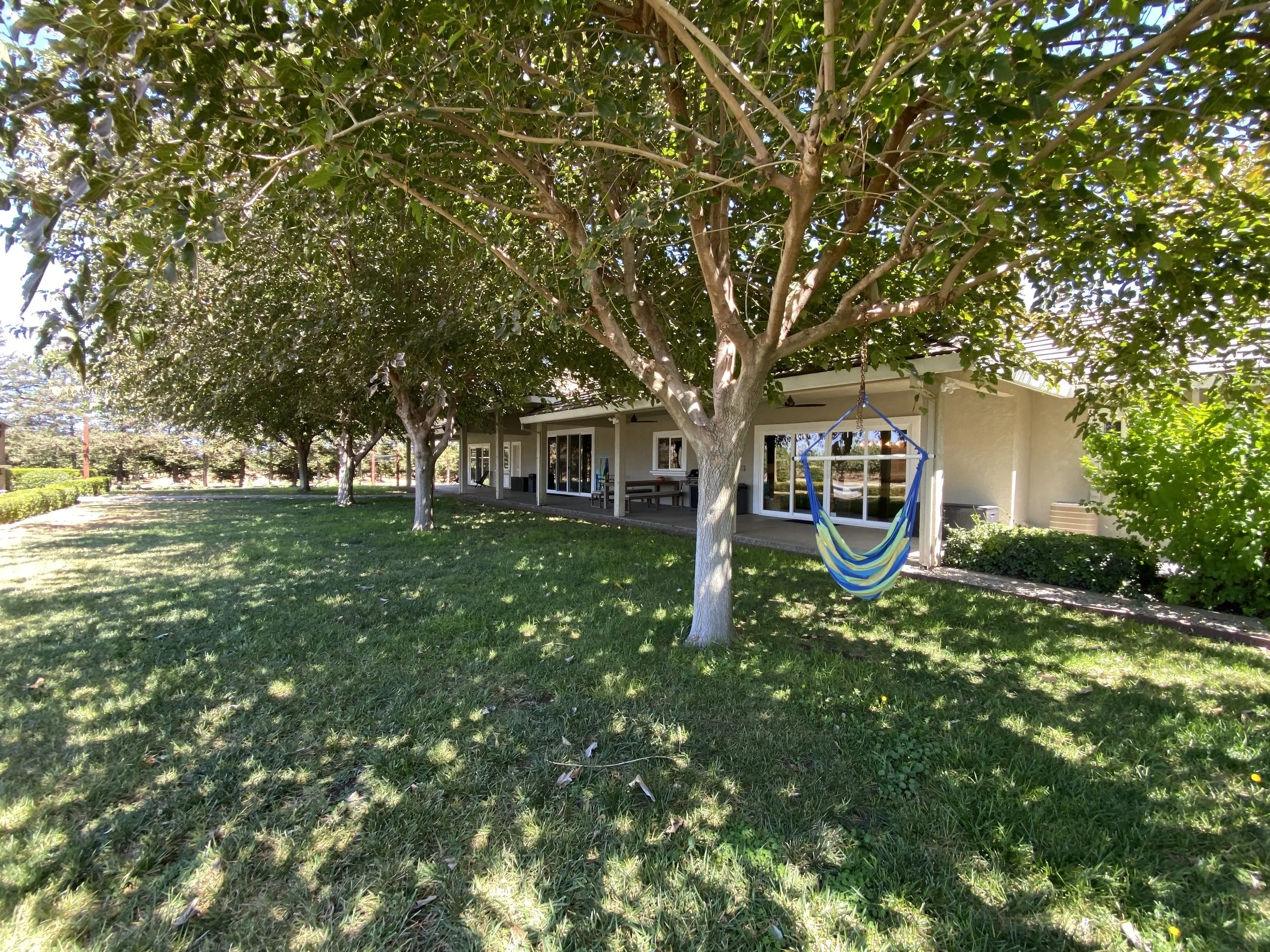 cherry-blossom-villa-tree-shaded-lawn.JPG