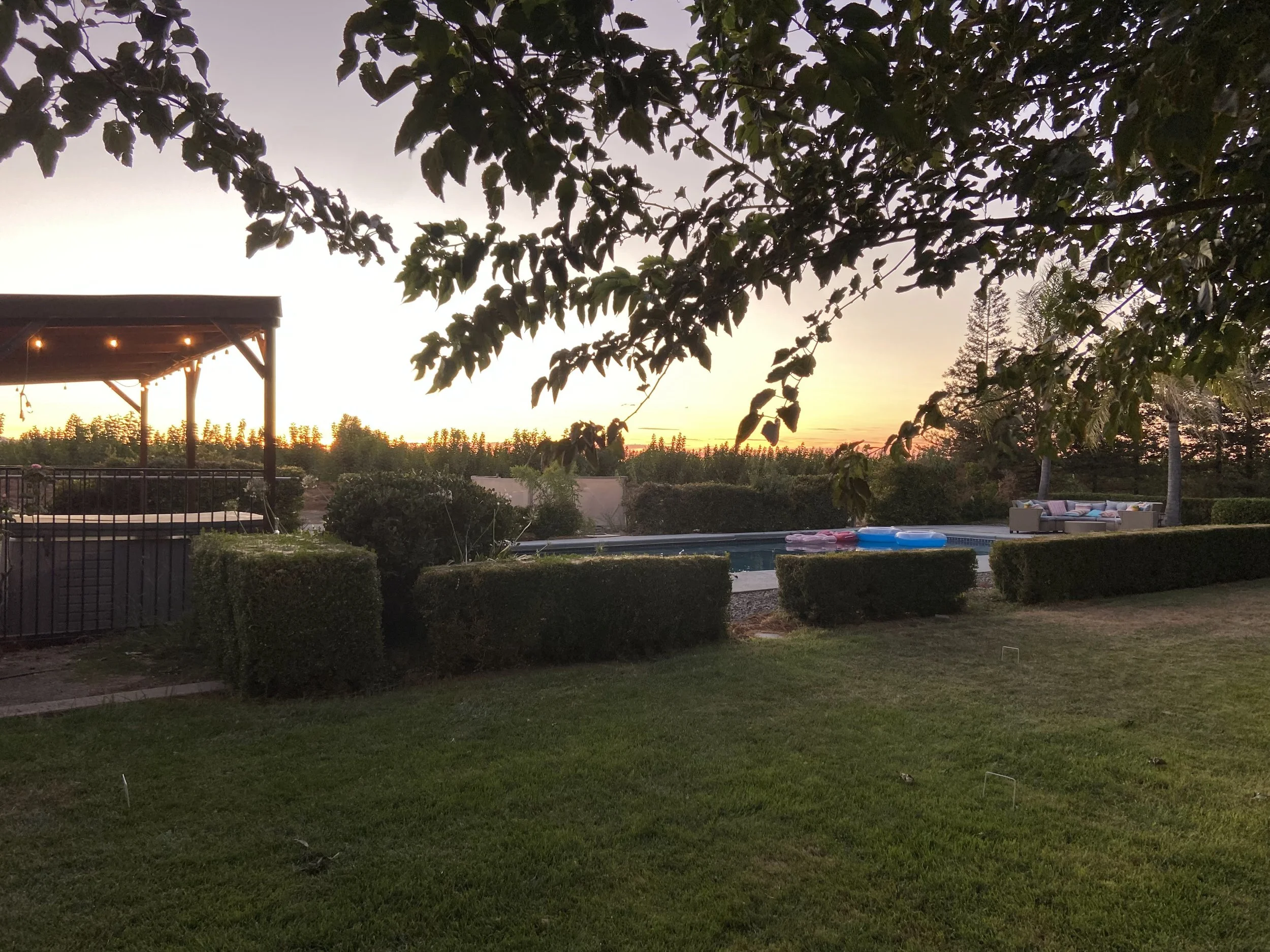 stunning-backyard-sunset.jpg
