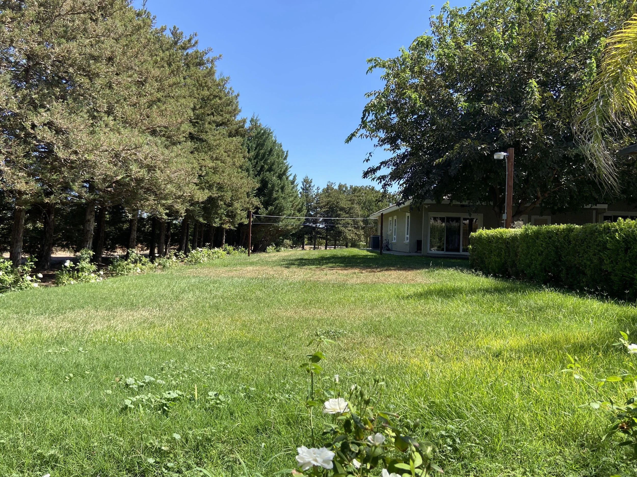 cherry-blossom-villa-side-yard.PNG
