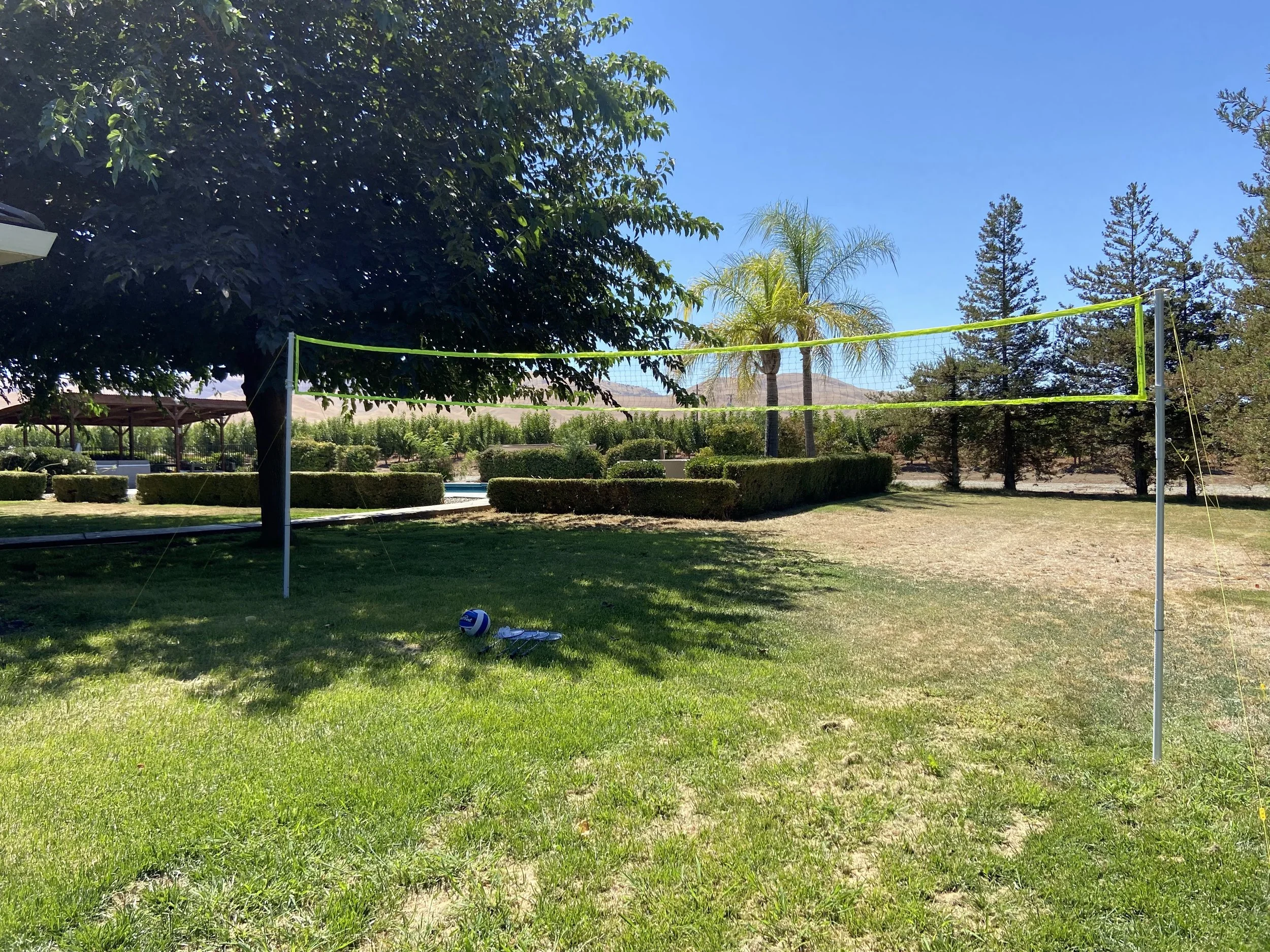 outdoor-net-in-backyard-for-yard-games.jpg