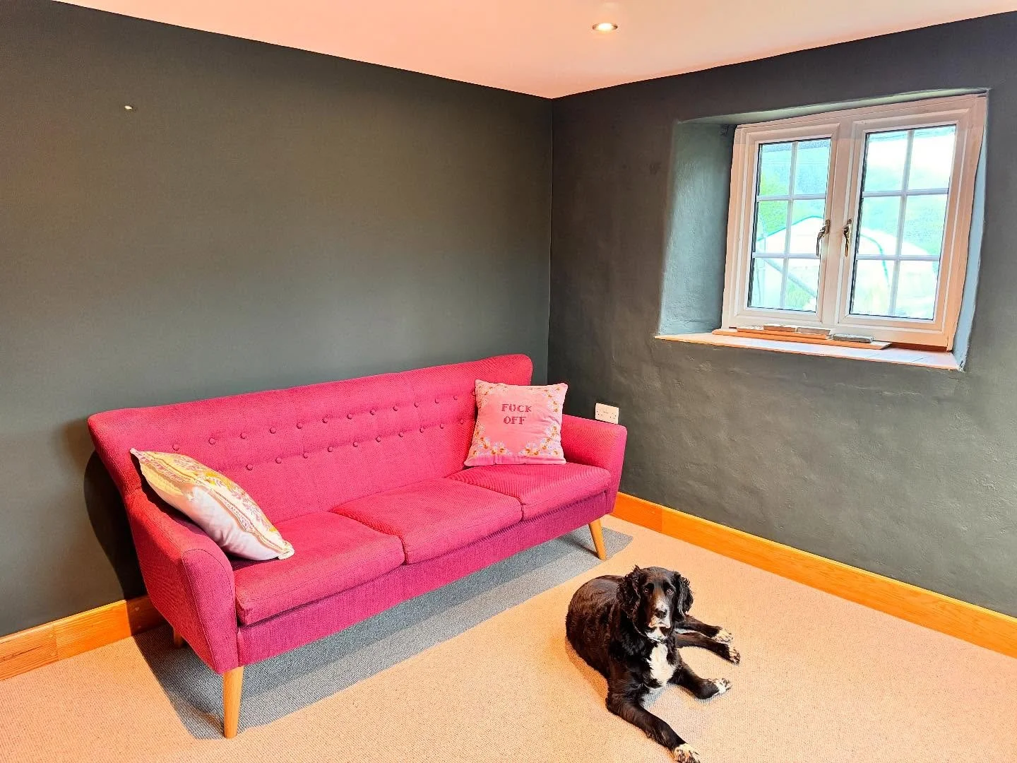 Doug got a new carpet today! Not at all soggy and not supposed to be in there. Spoilt boy. 
3 ply loop, pure British wool and fitter on overtime!  charter Berber Loop Dapple #abingdonflooring