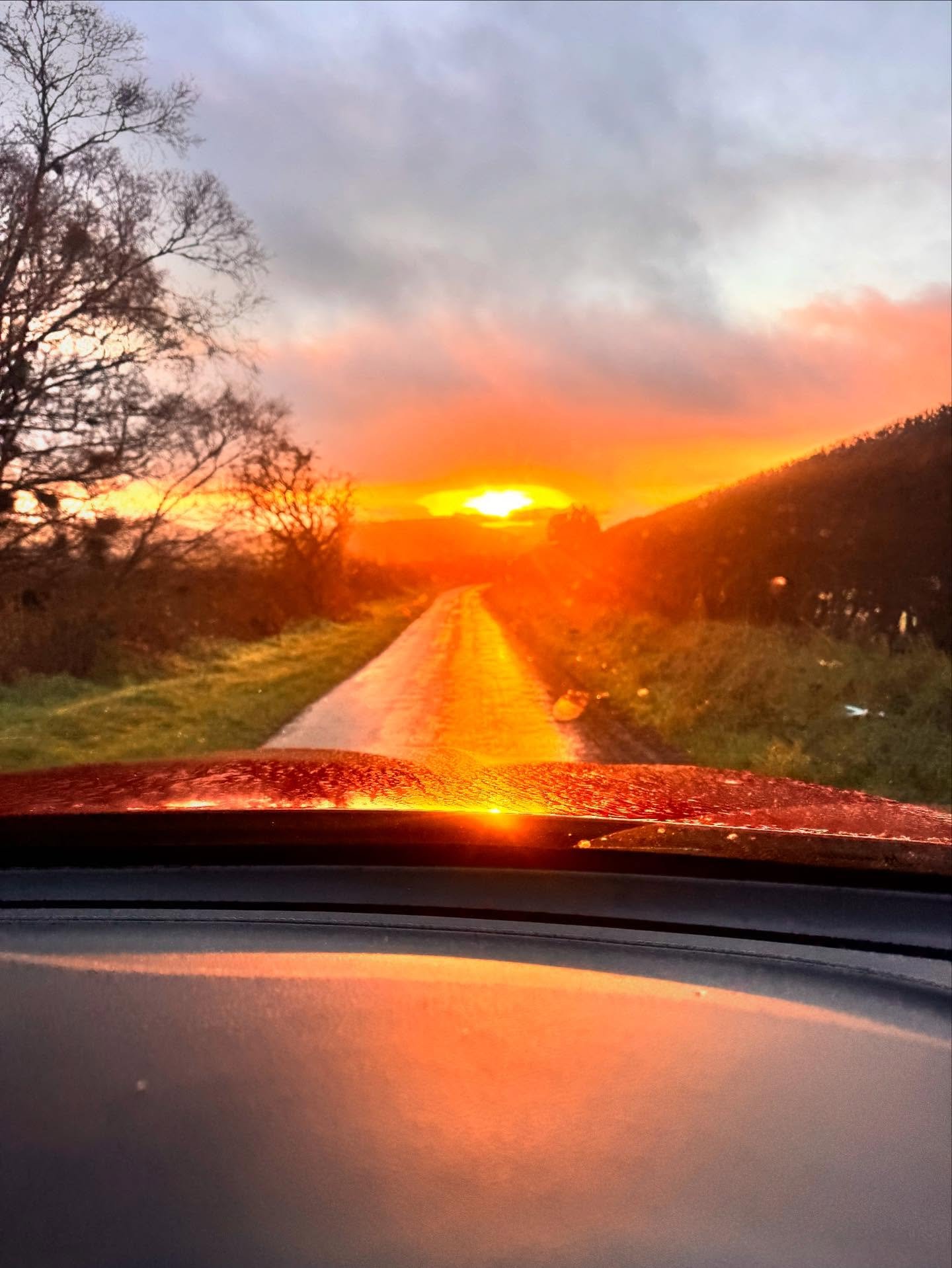 All hands on deck this morning despite it being everyone&rsquo;s day off 😂 Rewards. Back to the valley gloom now and admin. Come see us 9-2 Monday, Tuesday, Thursday, Friday and Saturday 9-12. 
Home sample service and afternoon appointments. And the