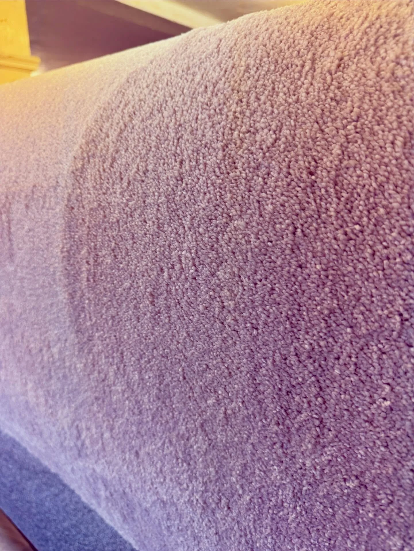 What&rsquo;s pink and fluffy? 😆

Half a roll left. Half price! Also not that pink&hellip;. I just wanted to say the &lsquo;joke&rsquo;

Subtle hint of pink, heavy domestic, luxury underlay included &pound;18.95m2 fitted.