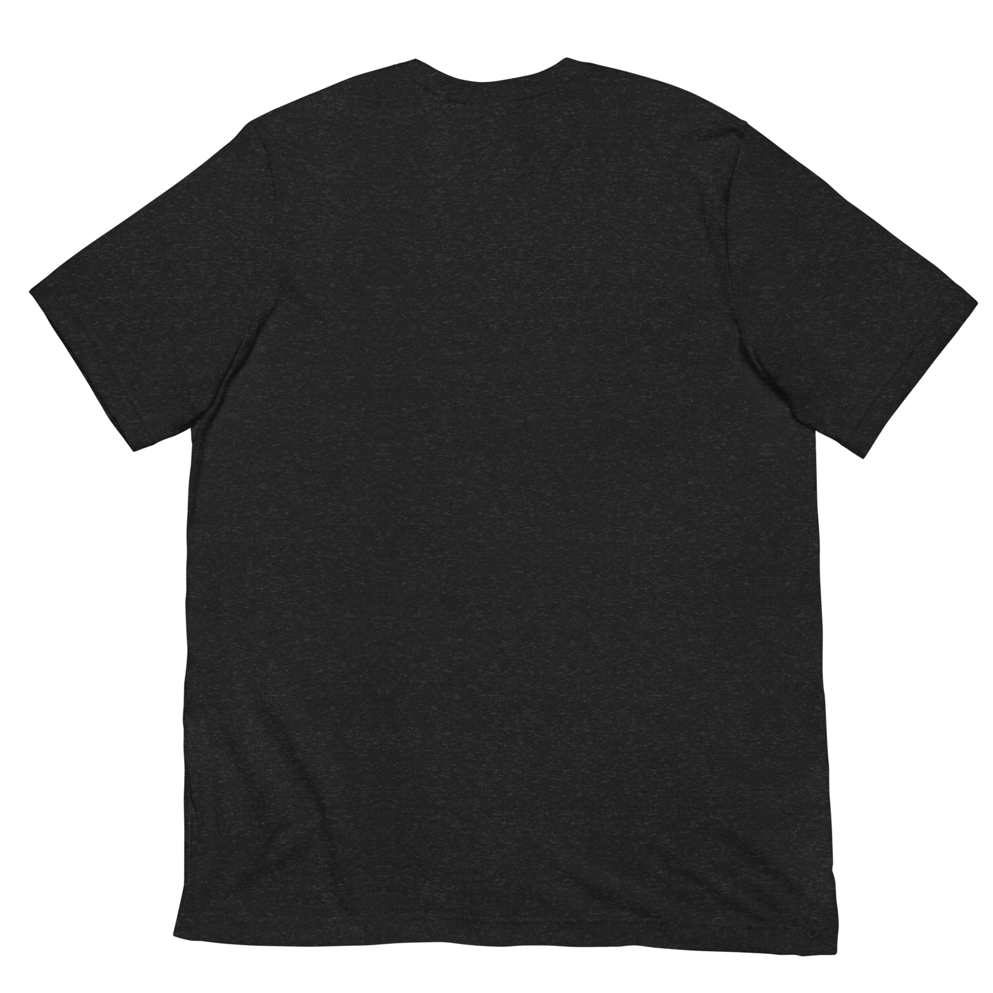 unisex-staple-t-shirt-black-heather-back-67e3039b3a39c.png