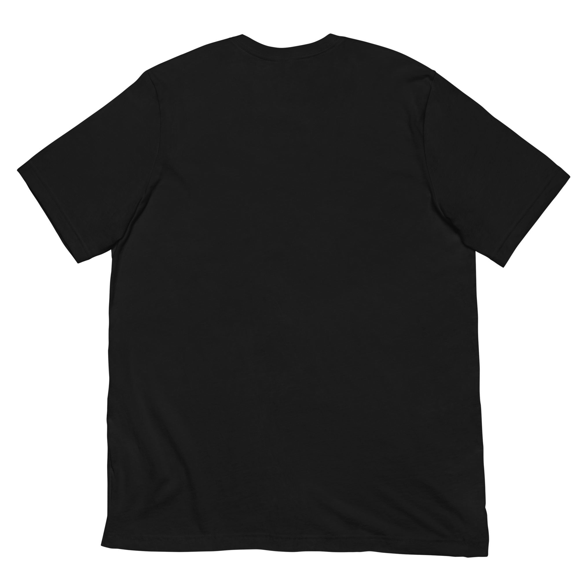 unisex-staple-t-shirt-black-back-67e3039b3f27d.png