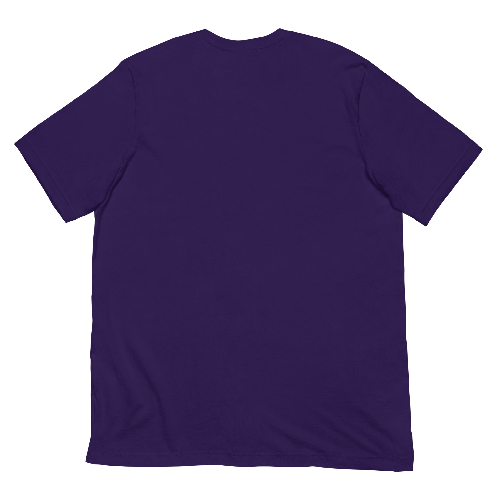 unisex-staple-t-shirt-team-purple-back-67e3039b6411a.png