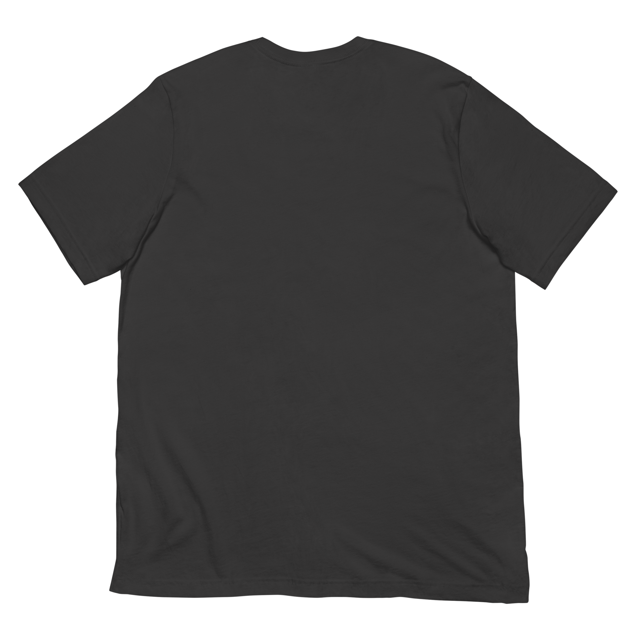 unisex-staple-t-shirt-dark-grey-back-67e3039bbf93c.png
