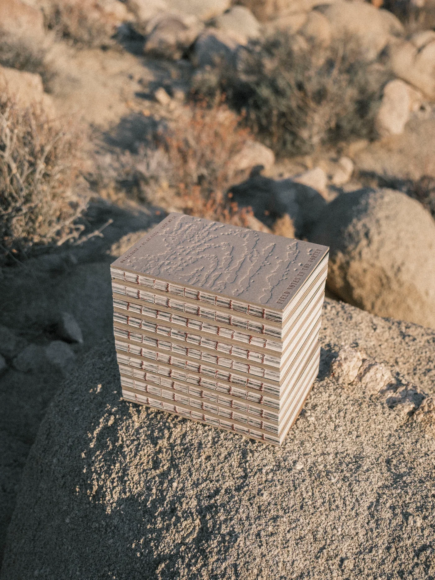 DSCF3972.webp