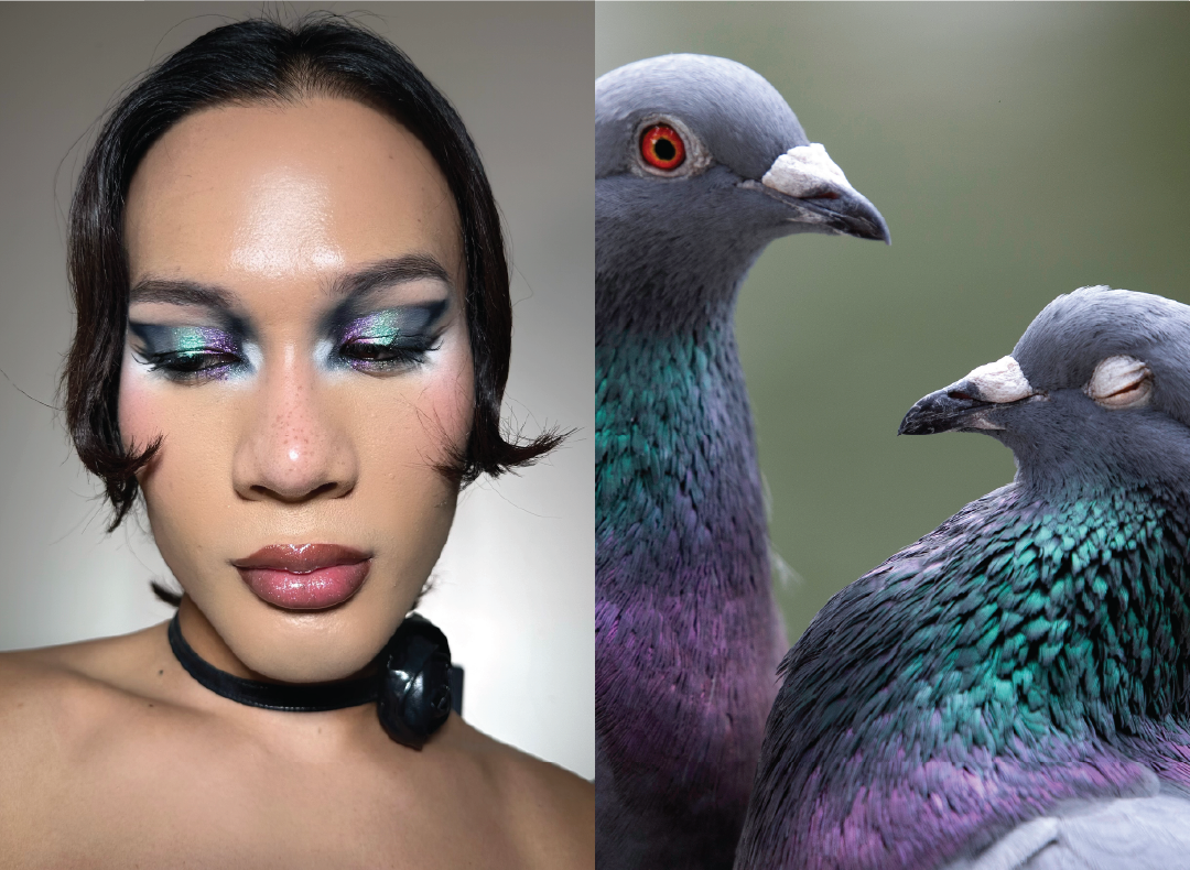 August Pigeon Look 2.png