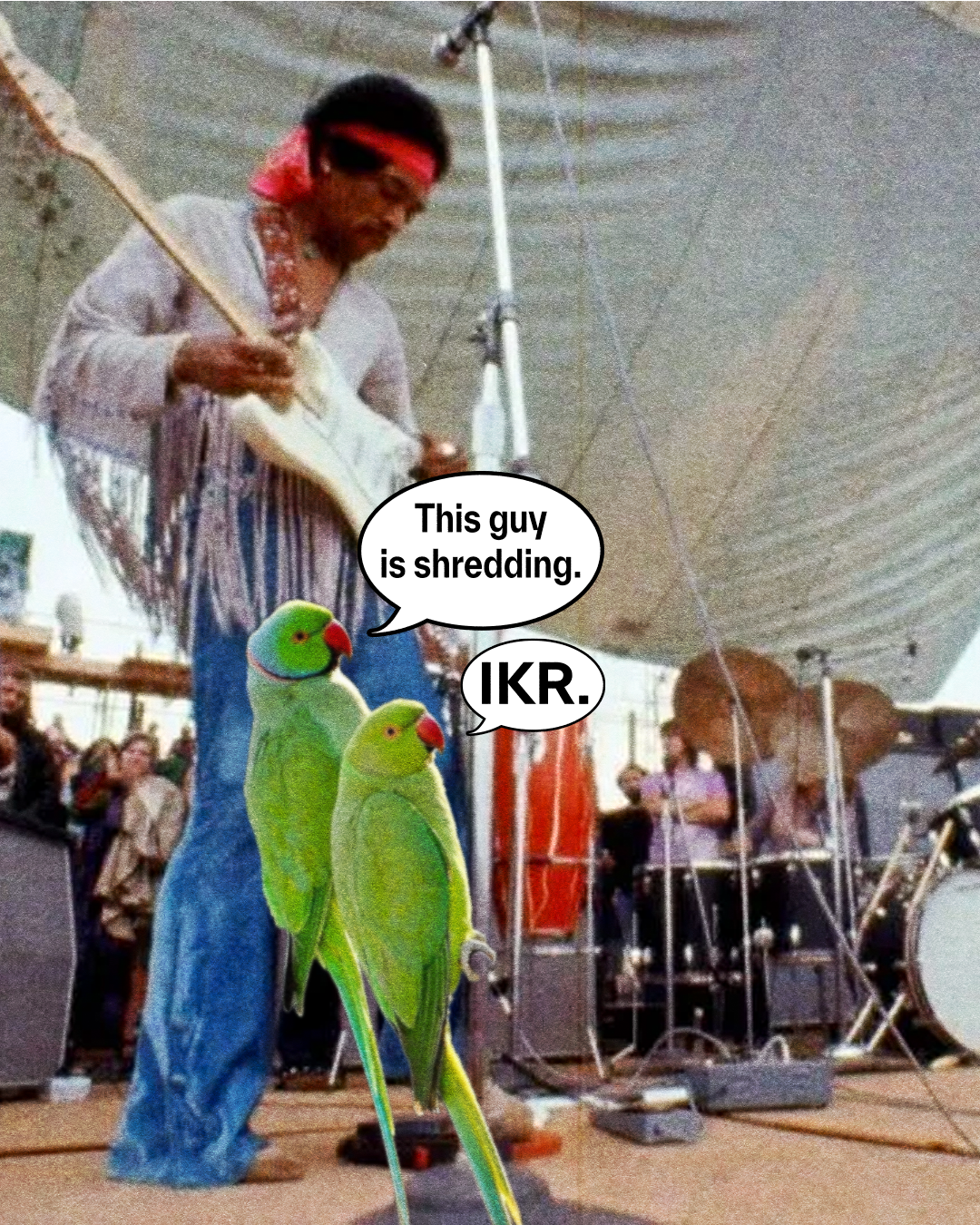 jimi is live.png