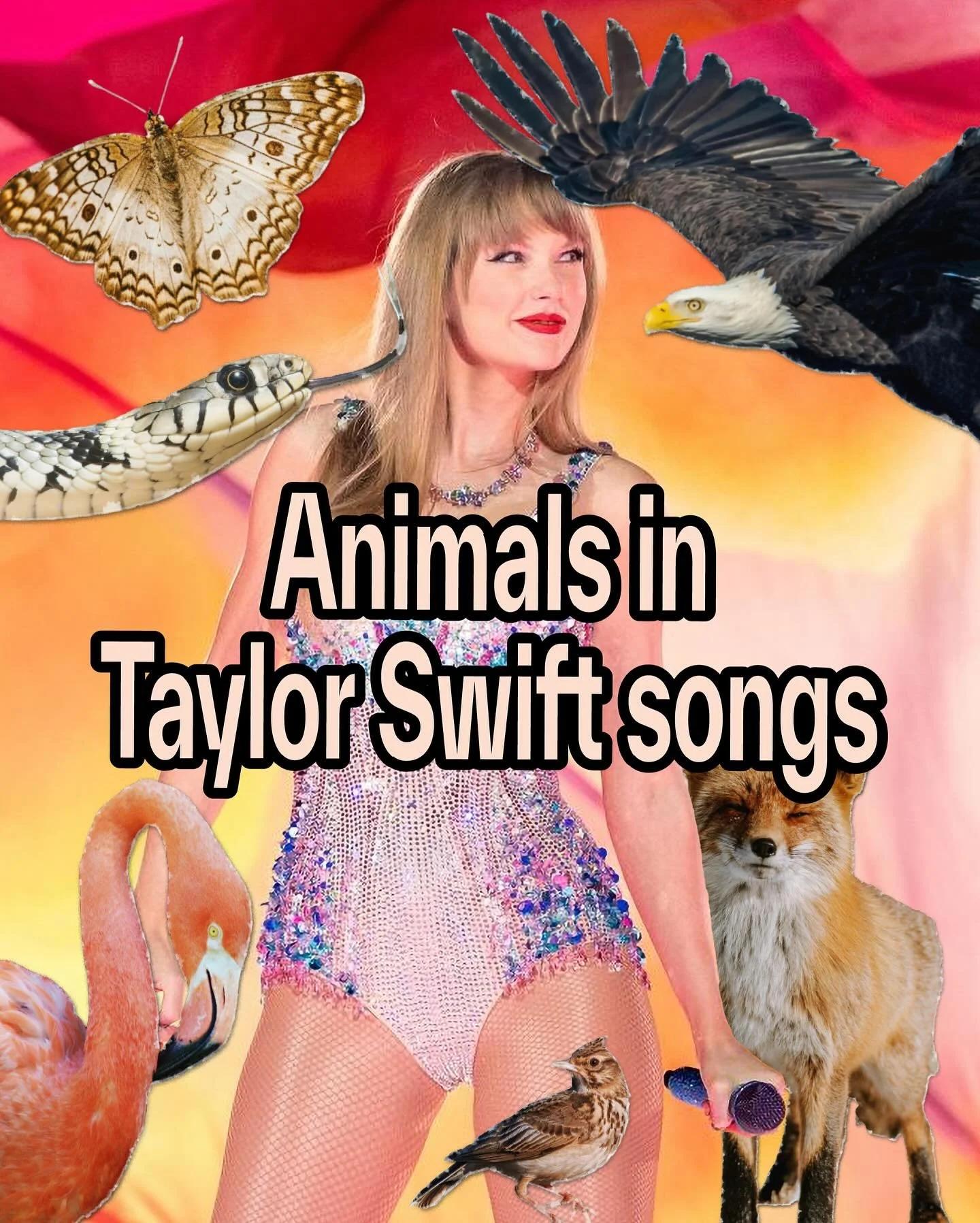 The Life of a Nature-loving Showgirl. But this isn&rsquo;t everything, which species have we missed?