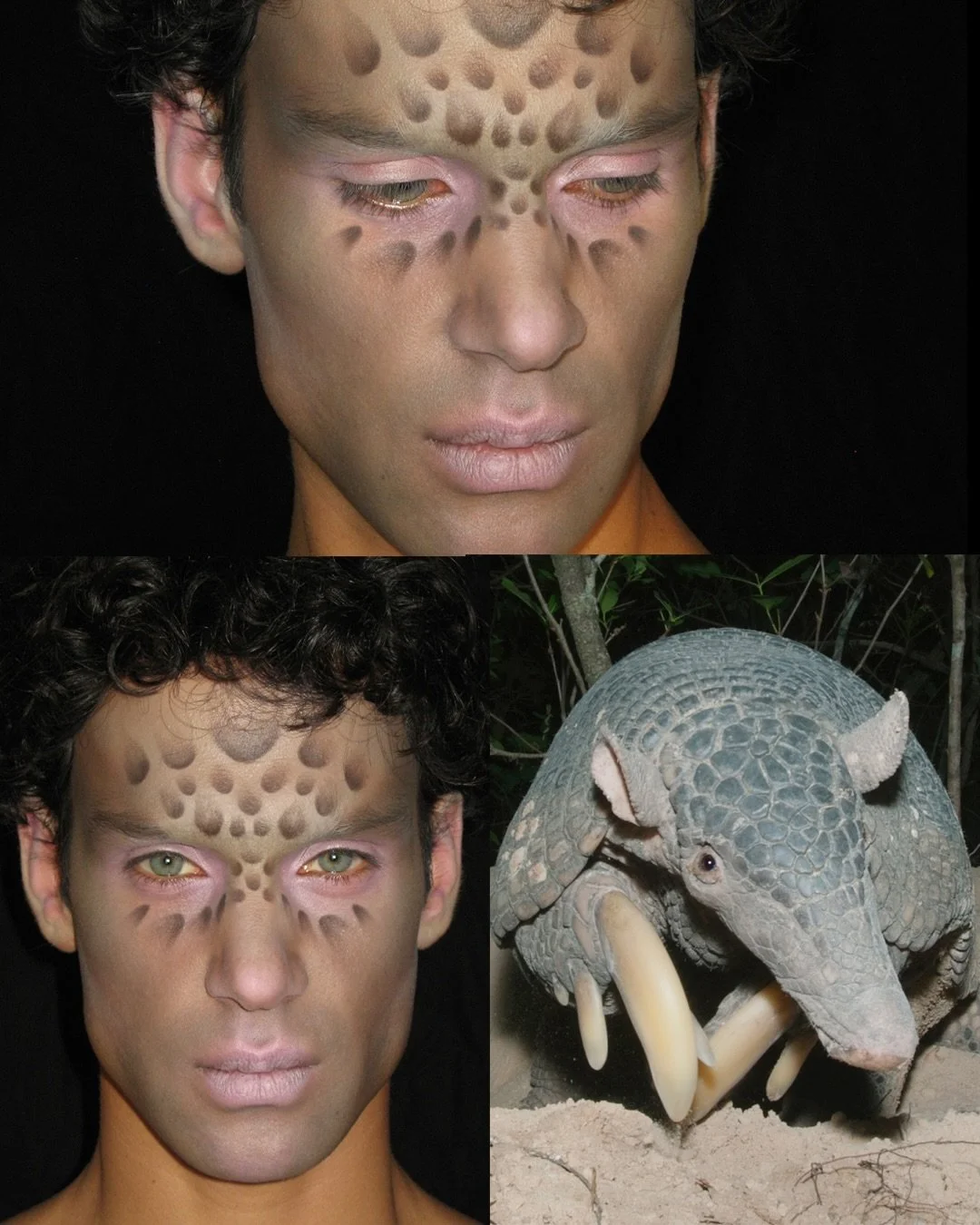 Couldn&rsquo;t drop a music video without an extravagant makeup look, could we?

@seanetc scales things up a notch with an homage to the Giant Armadillo. Sean said, &ldquo;I&rsquo;ve always been drawn to inspiration from nature, but I hadn&rsquo;t th