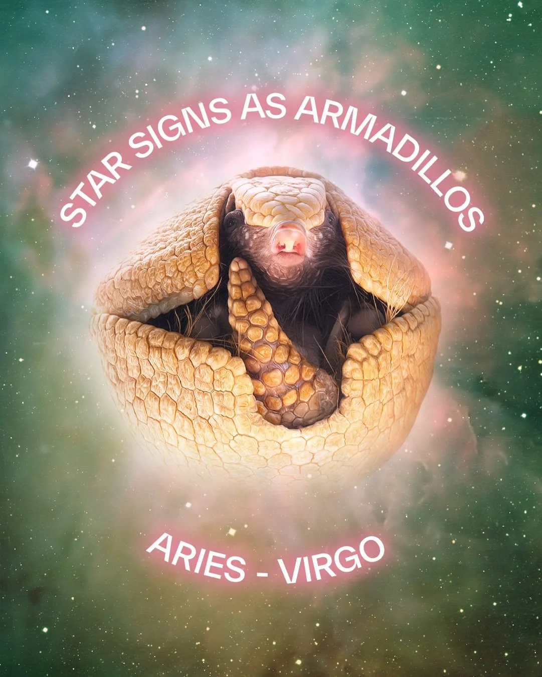Behind every star sign is a great armadillo. What&rsquo;s yours and how are you similar? Sound off in the comments.