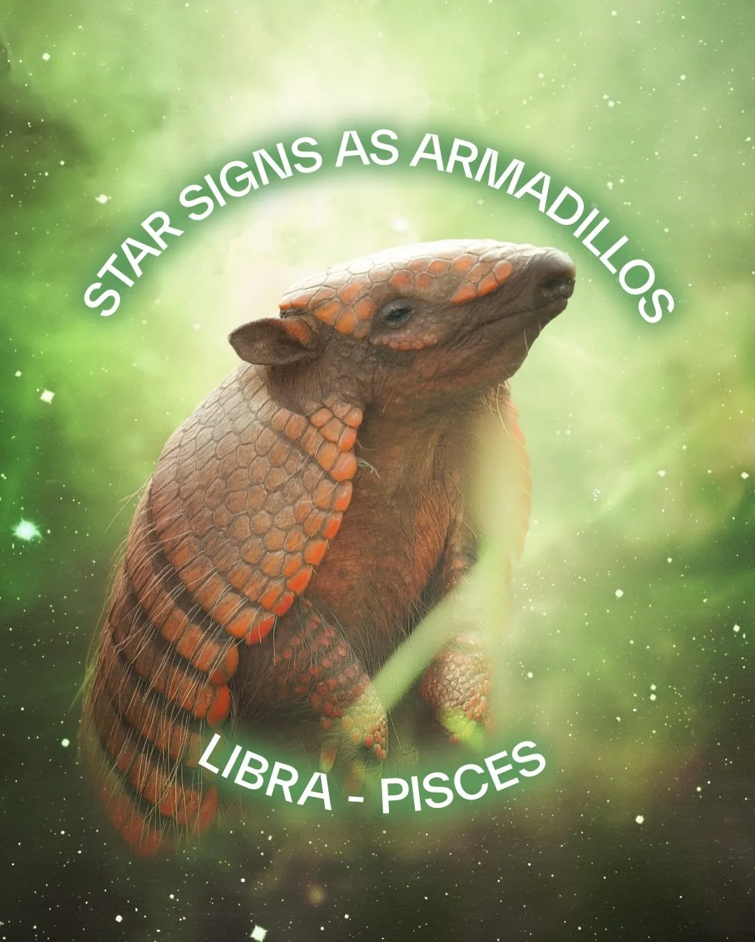 What does House of Armadillo say about you? Pick your astrological partner and let us know what resonates.
