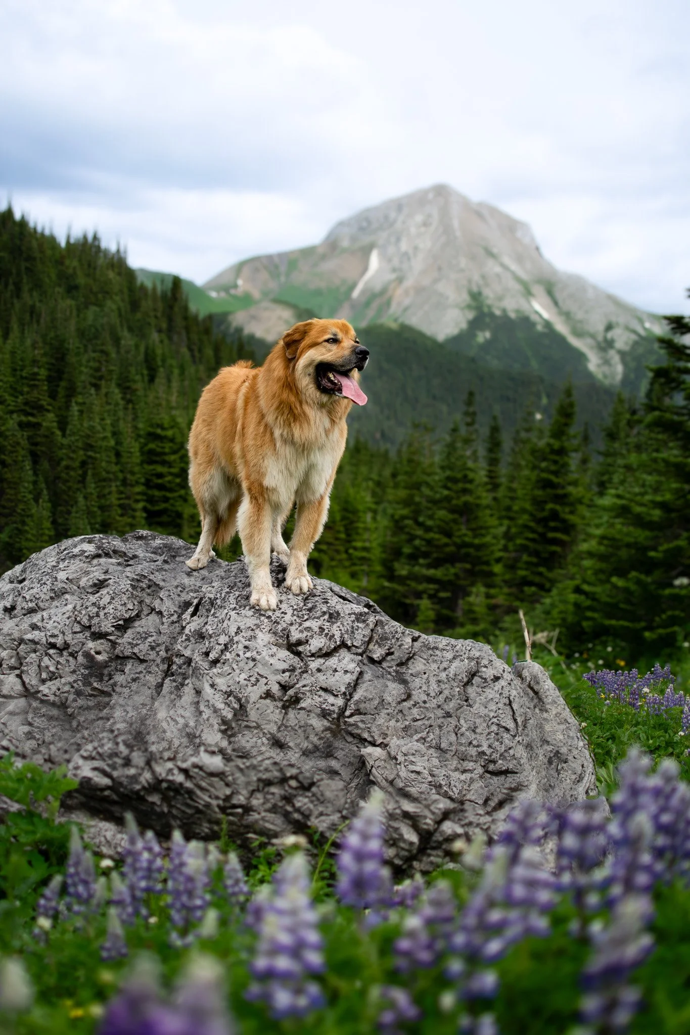 DSC_0149-Recovered.jpg