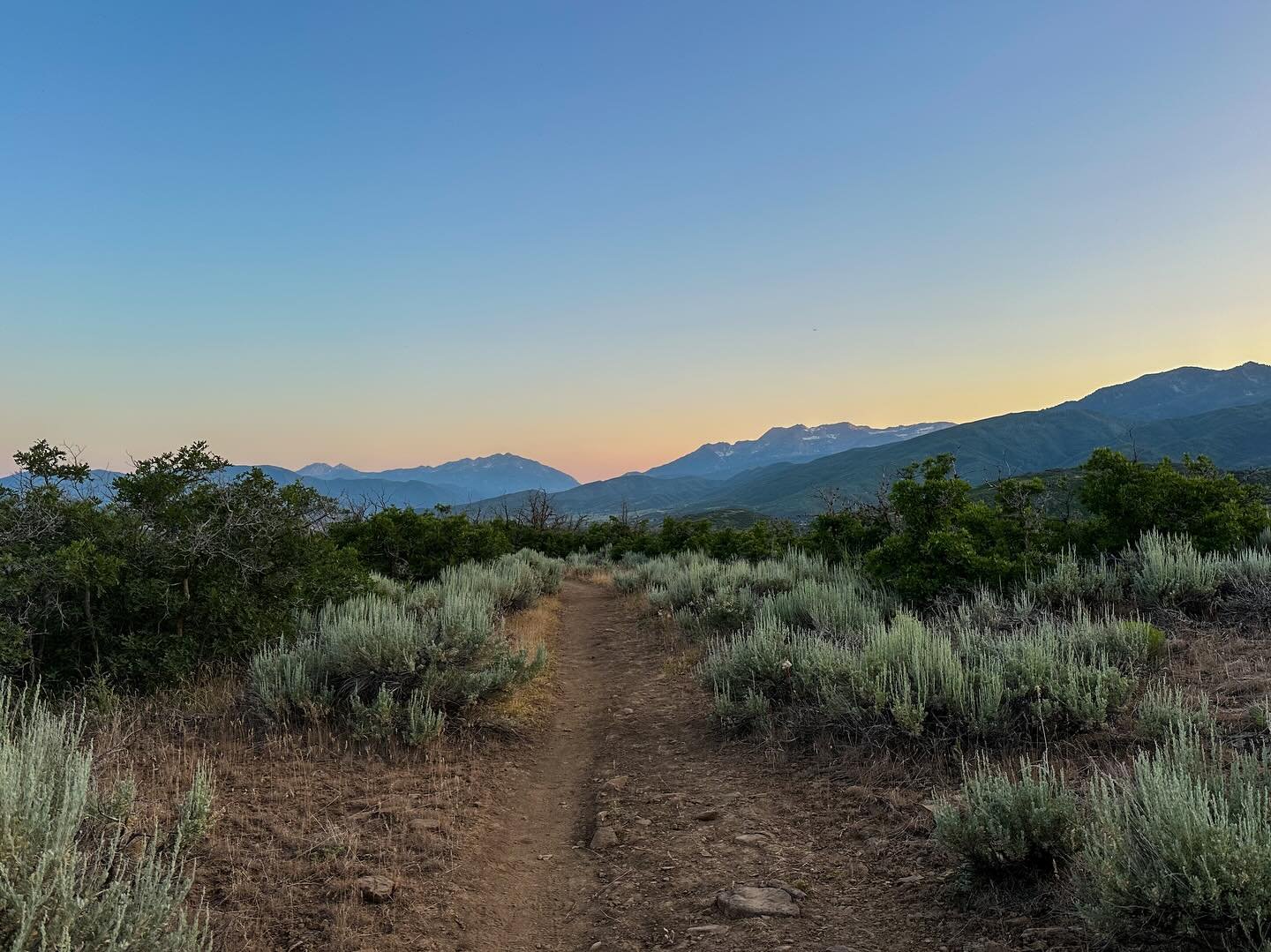 Evening run down an old classic. Don&rsquo;t let this photo fool you, Burnt Ridge has more rocks per capita than the Fast and Furious franchise.