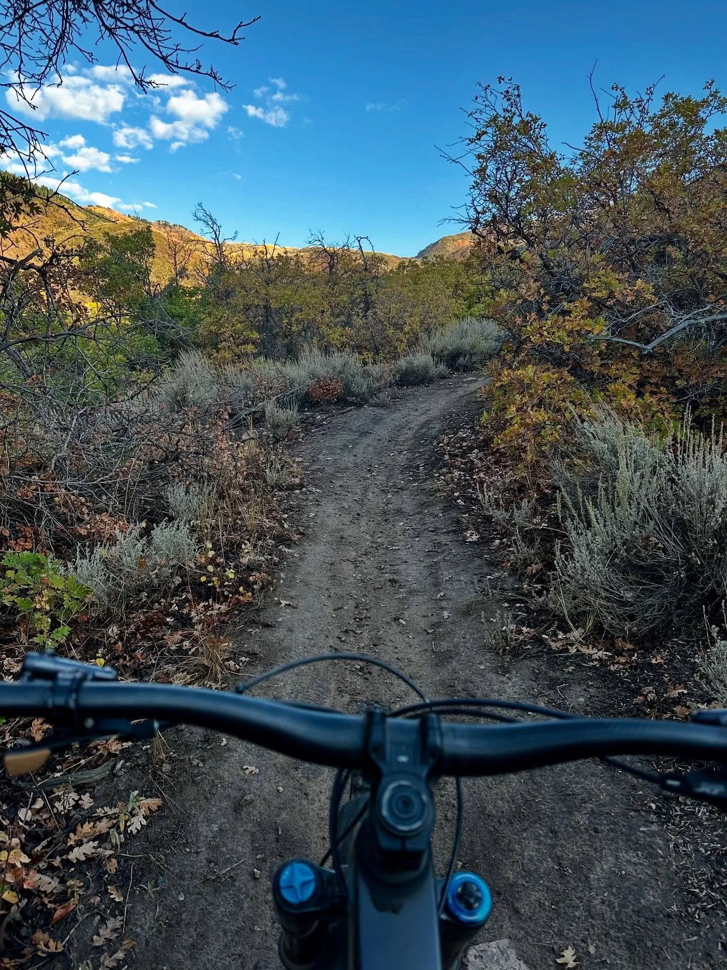 🍂Fall is the best time to get out and enjoy cooler temps and beautiful colors!🍁

#bike #biking #trails #fallseason #wasatchtrailsfoundation