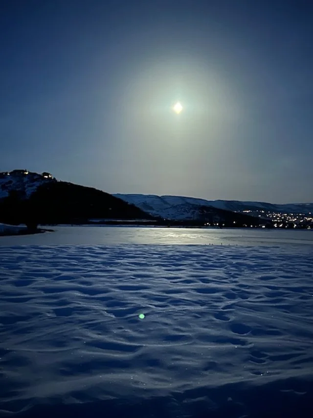 Moonlight Snowshoe Hike #1