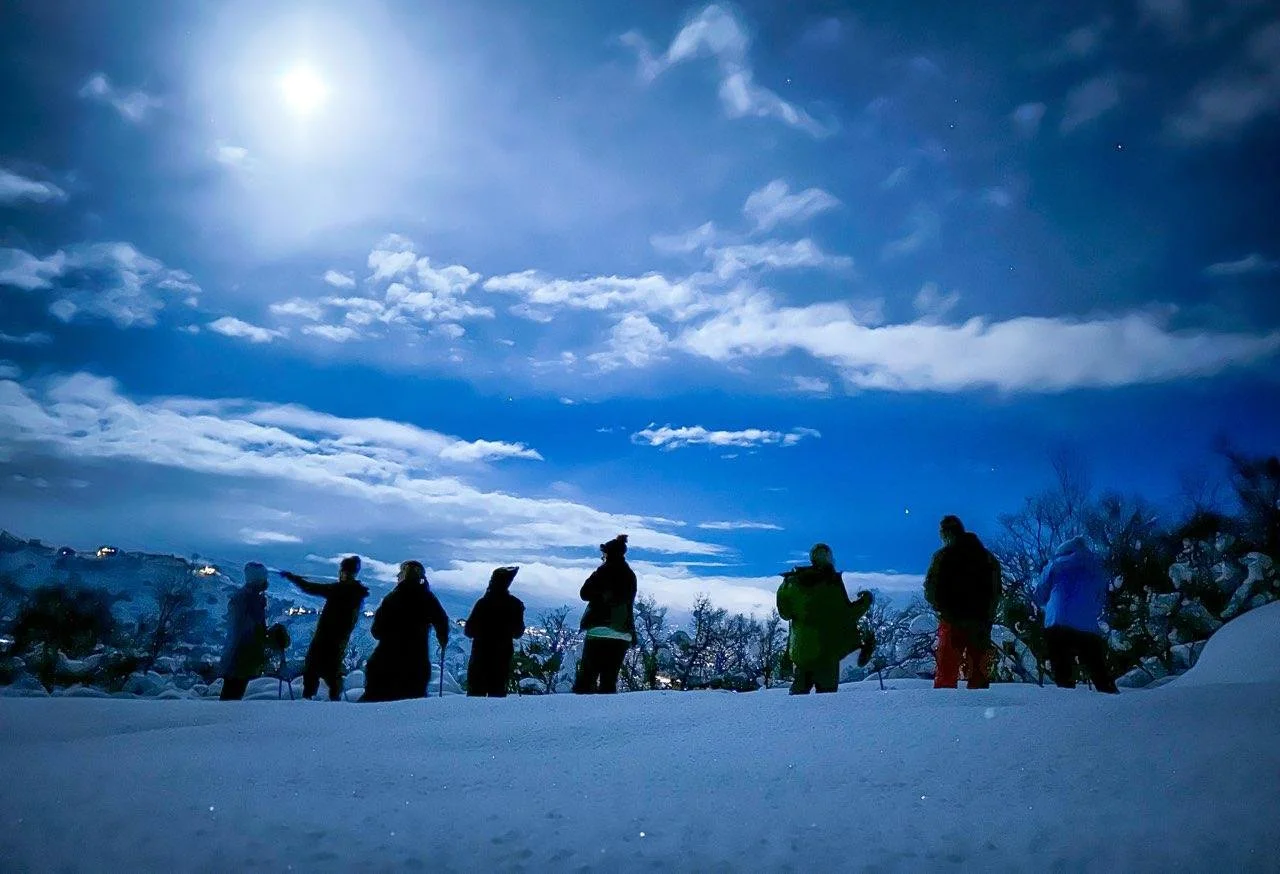 Moonlight Snowshoe Hike #2