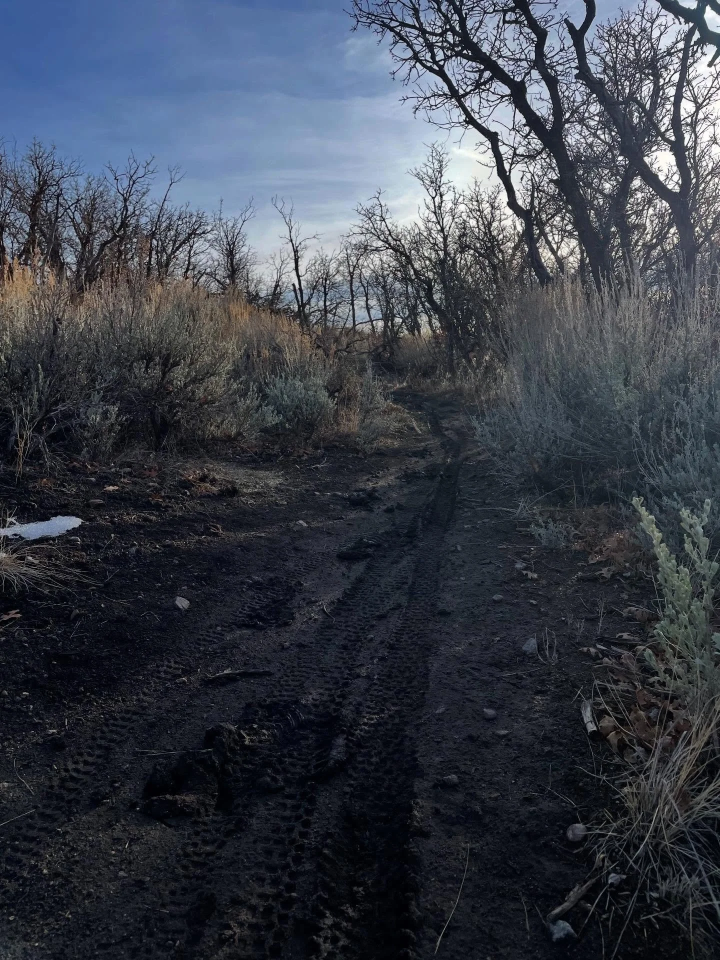🚧 Trail Status 🚧
It&rsquo;s muddy folks! Mother Nature has been playing with our emotions and giving us snow, then beautiful sunny days. It may feel like you can ride but it&rsquo;s still quite soggy behind UVU on JRTS. Try and get out before the t
