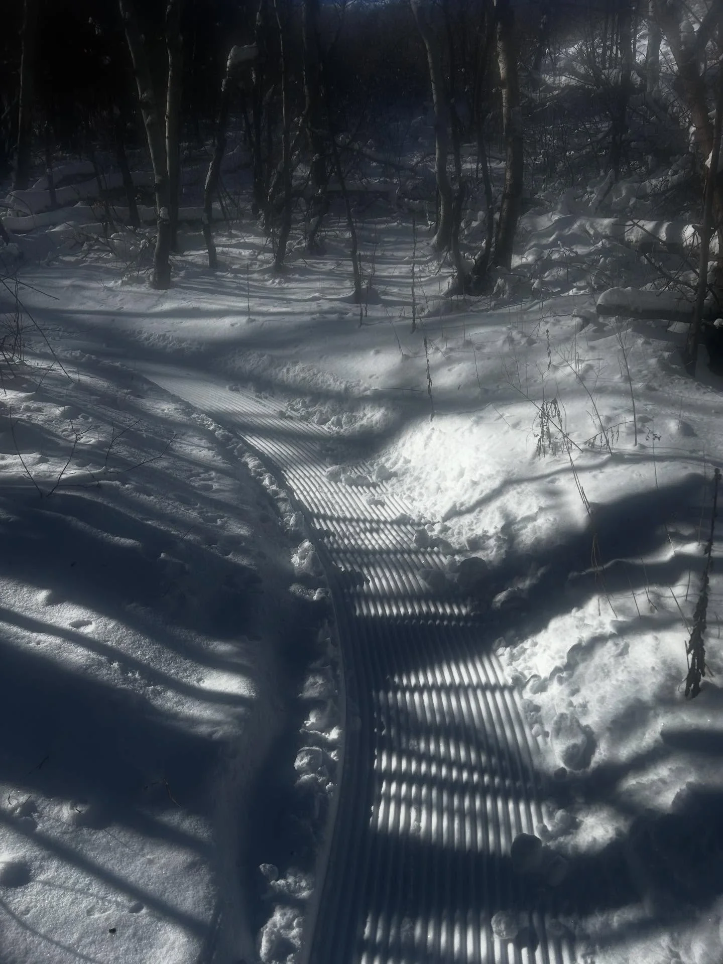 🚧 TRAIL REPORT 🚧 8 miles groomed at Wile E. Canyon TH yesterday evening. Fat biking this morning should be amazing 🤩. Everything was groomed except for the NE portion of Wile E Loop on the E side. See map. Have fun. 🚲