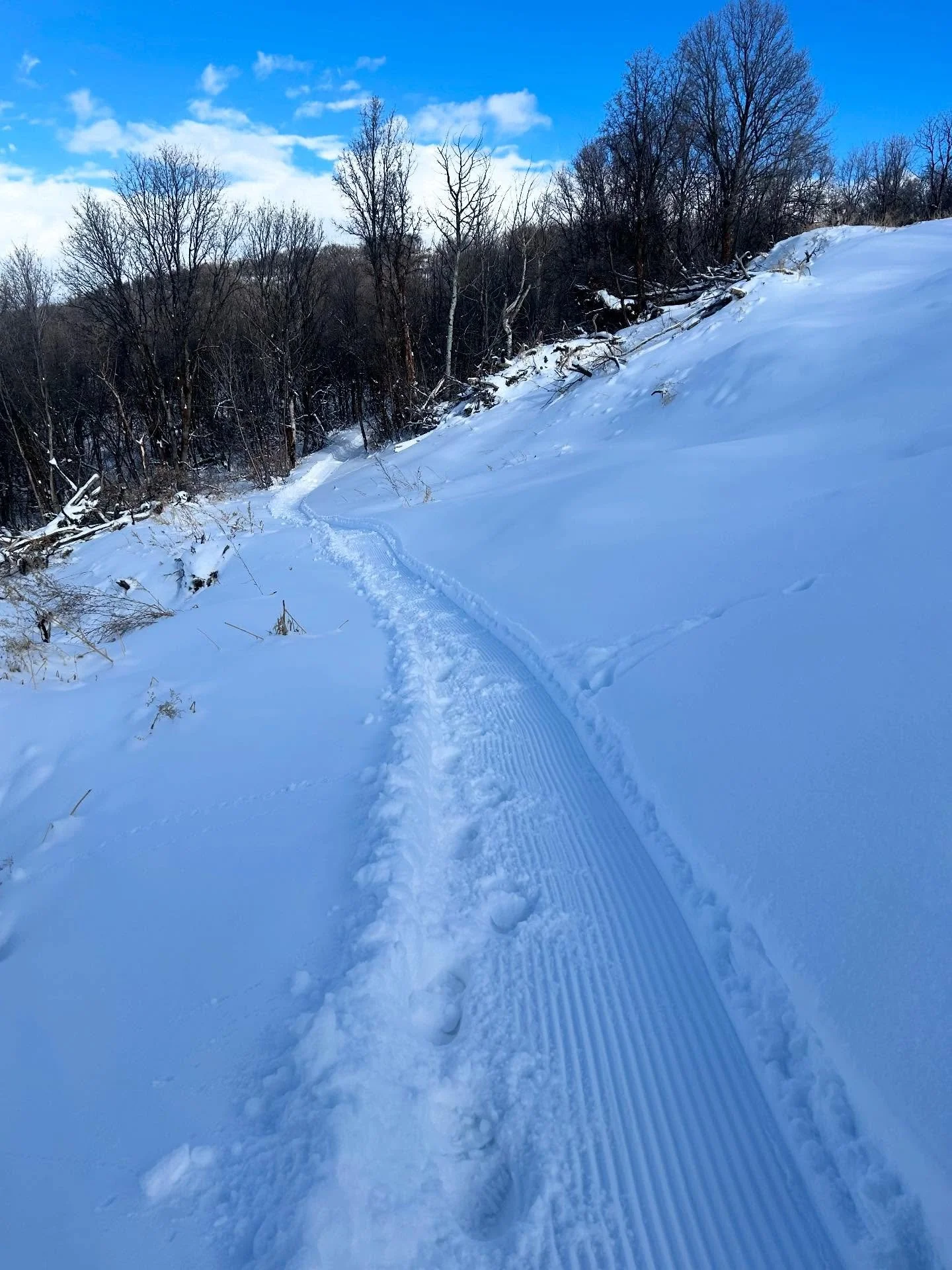 🚧 TRAIL STATUS 🚧 Our amazing volunteers are getting a little more done each day! If anyone is jonesin&rsquo; for some type 2+ fun, we could use some snowshoes or touring skis to pack the upper sections of trail 😛. See map ➡️