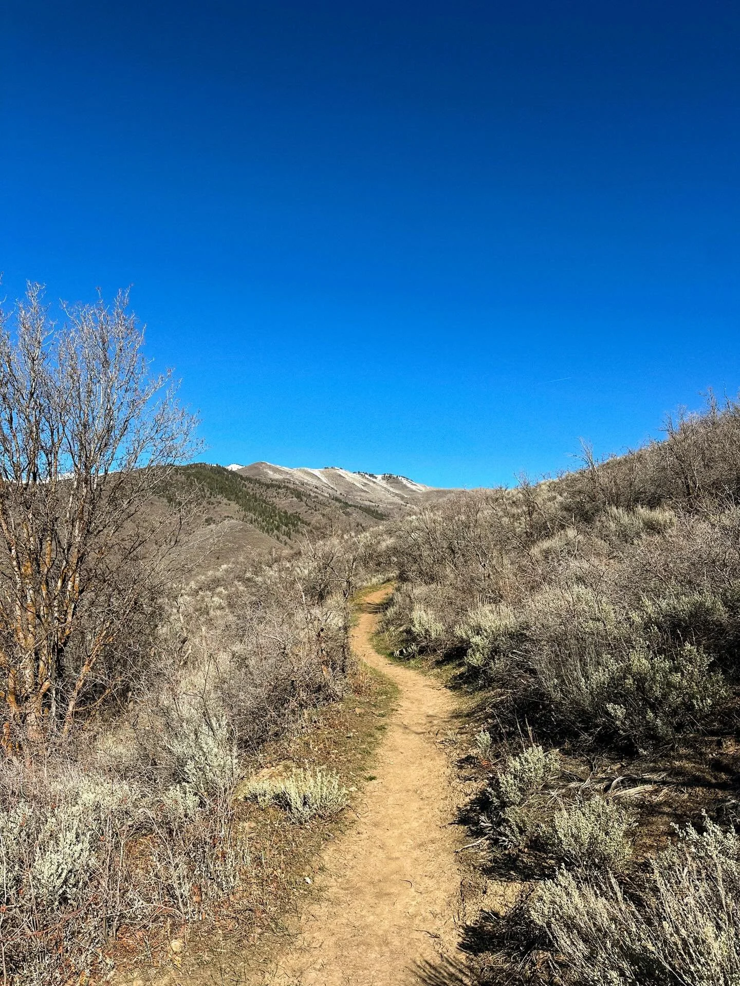 Anyone looking for some vert? Phosphate West is dry and ready for some up and backs (Phosphate East needs a few more days). The first three people that dm us a selfie (from this season) at the top are going to get a fresh pack of rechargeable batteri