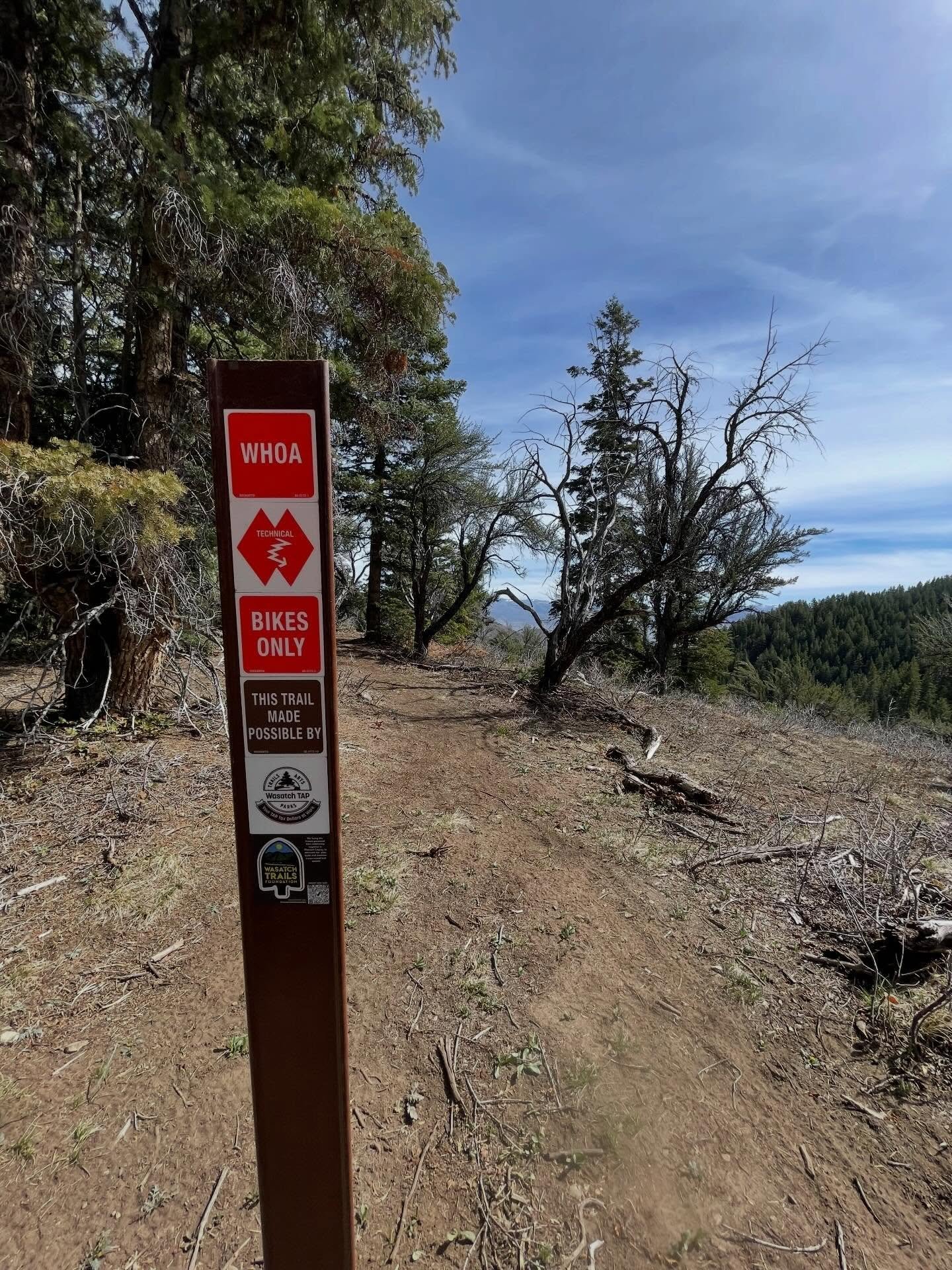 🚧 TRAIL STATUS 🚧 WHOA she&rsquo;s ready to go🤘Thanks Crew for cleaning up Maple Grove and WHOA! SHOUTOUT to the Wasatch TAP Grant for making this trail possible. @wasatch_county 

Pine Canyon Bike Park, Hot Dogger, S&rsquo;mores, Pumptrack and Pho