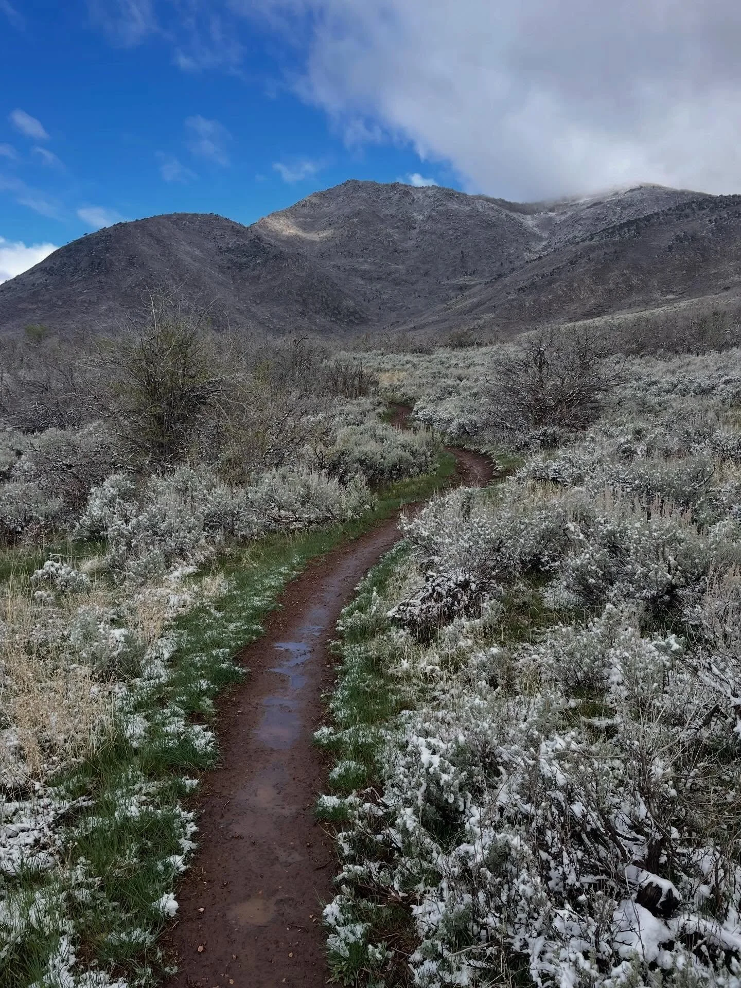 🚧 TRAIL STATUS 🚧 We finally got some much needed moisture! Let&rsquo;s Celebrate! AND WAIT 😝. Even with the hard freeze last night, trails are sloppy on sunny zones by 9am. We will update conditions this weekend but it may be the time to get your 