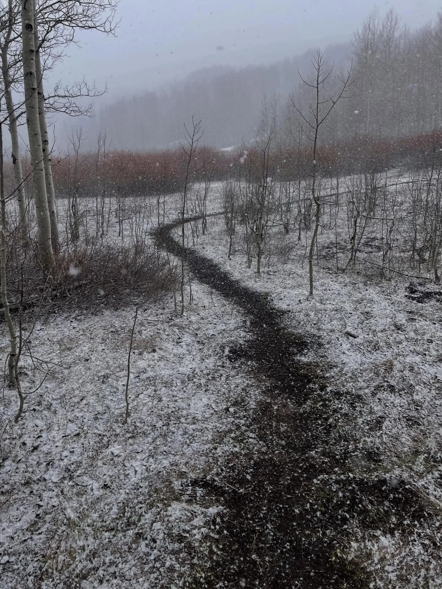 🚧 TRAIL STATUS 🚧 What a difference a day makes! From yesterday afternoon to this morning is a season of difference ❄️☀️. Huge thanks to our trail crew Foreman @buildtrailridebike Board Member @dellron0 long time supporters and the raddest volunteer