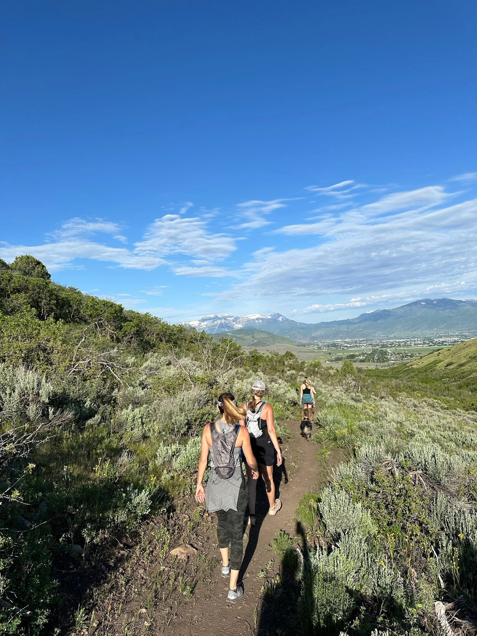 Moon Shine Adventures at&nbsp;Boulderdash-WOWZA-WOW loop