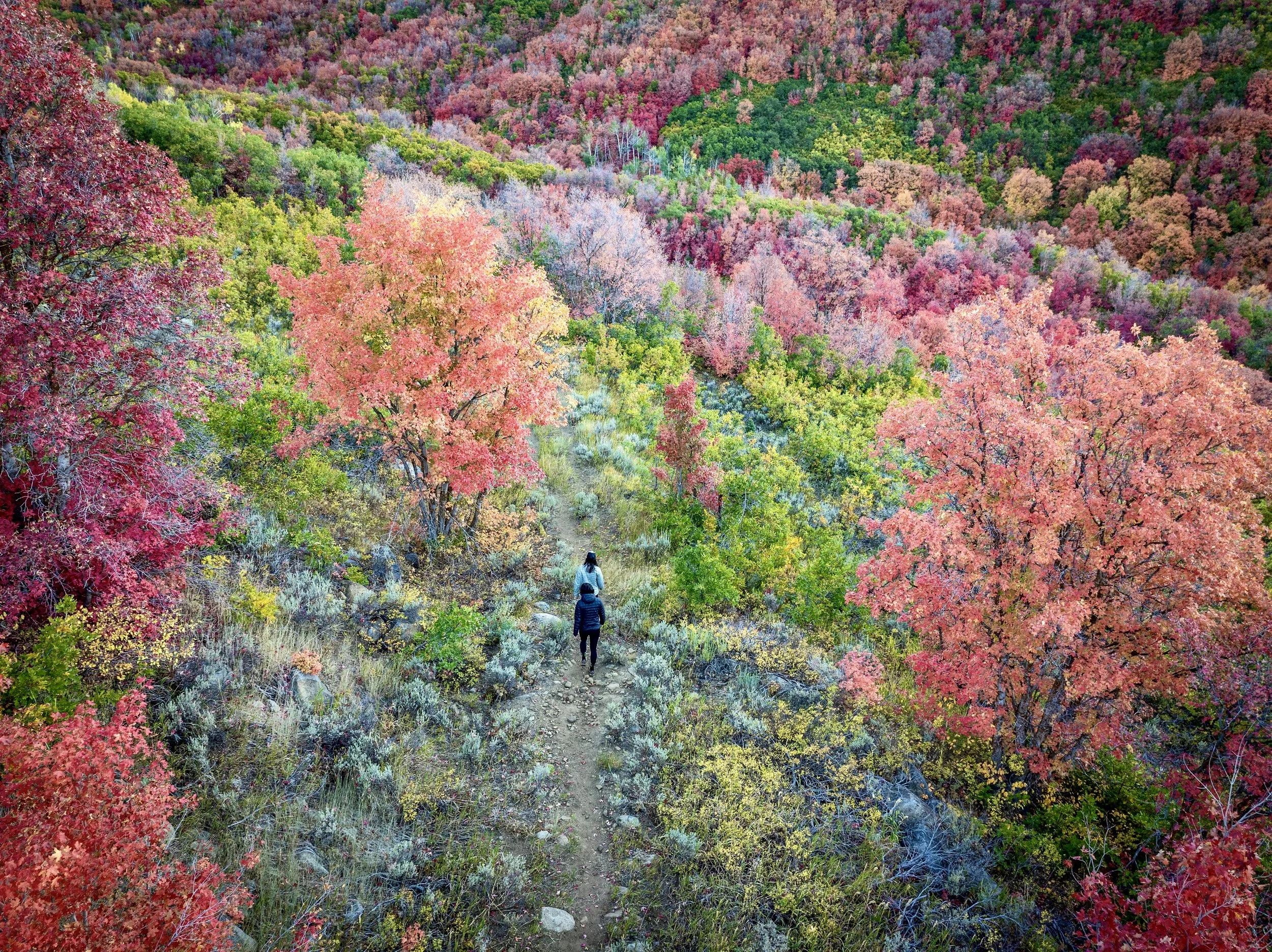 Fall Foliage Hike