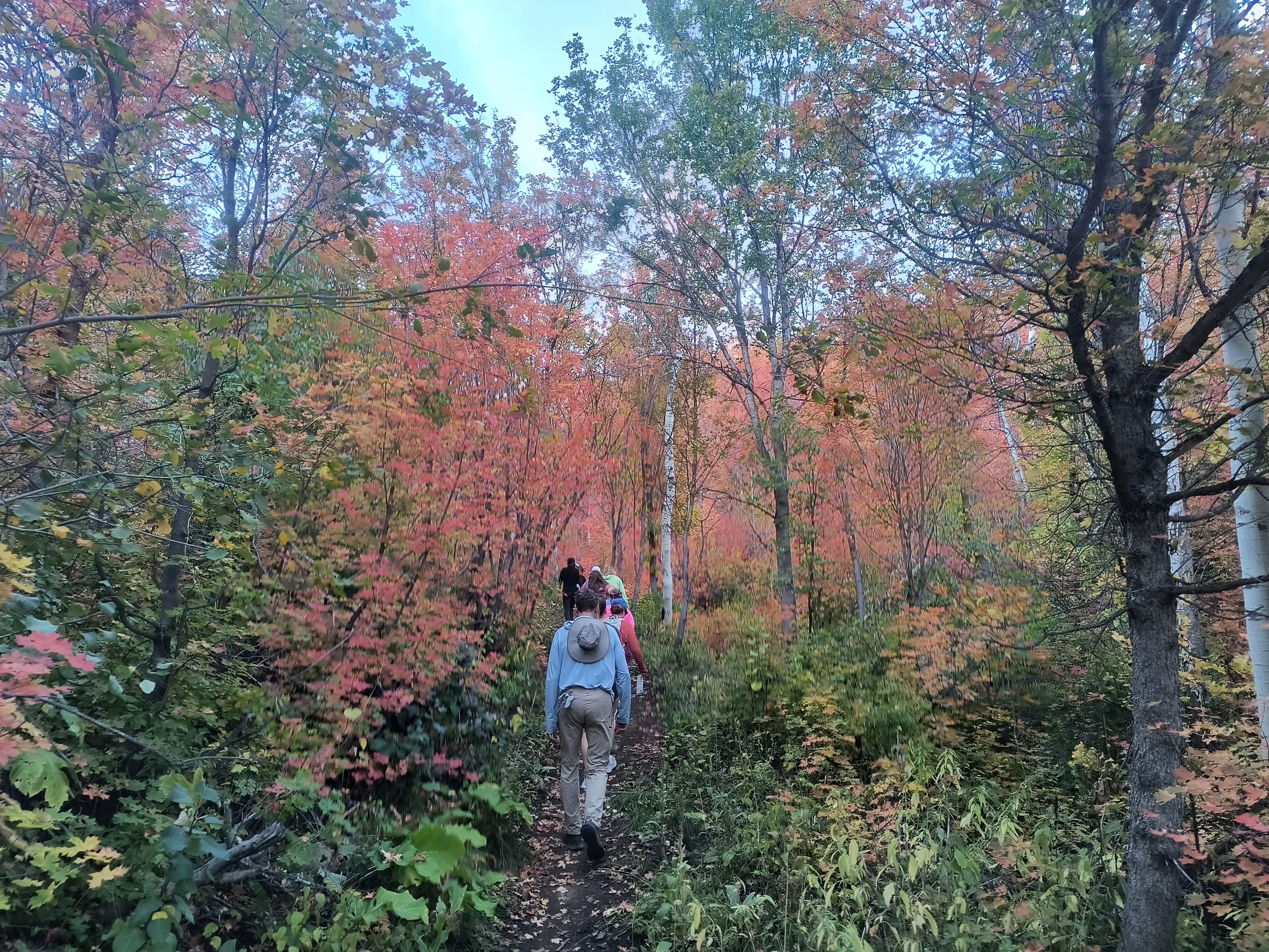 FALL HIKE AT BOULDERDASH &amp; WOW LOOP