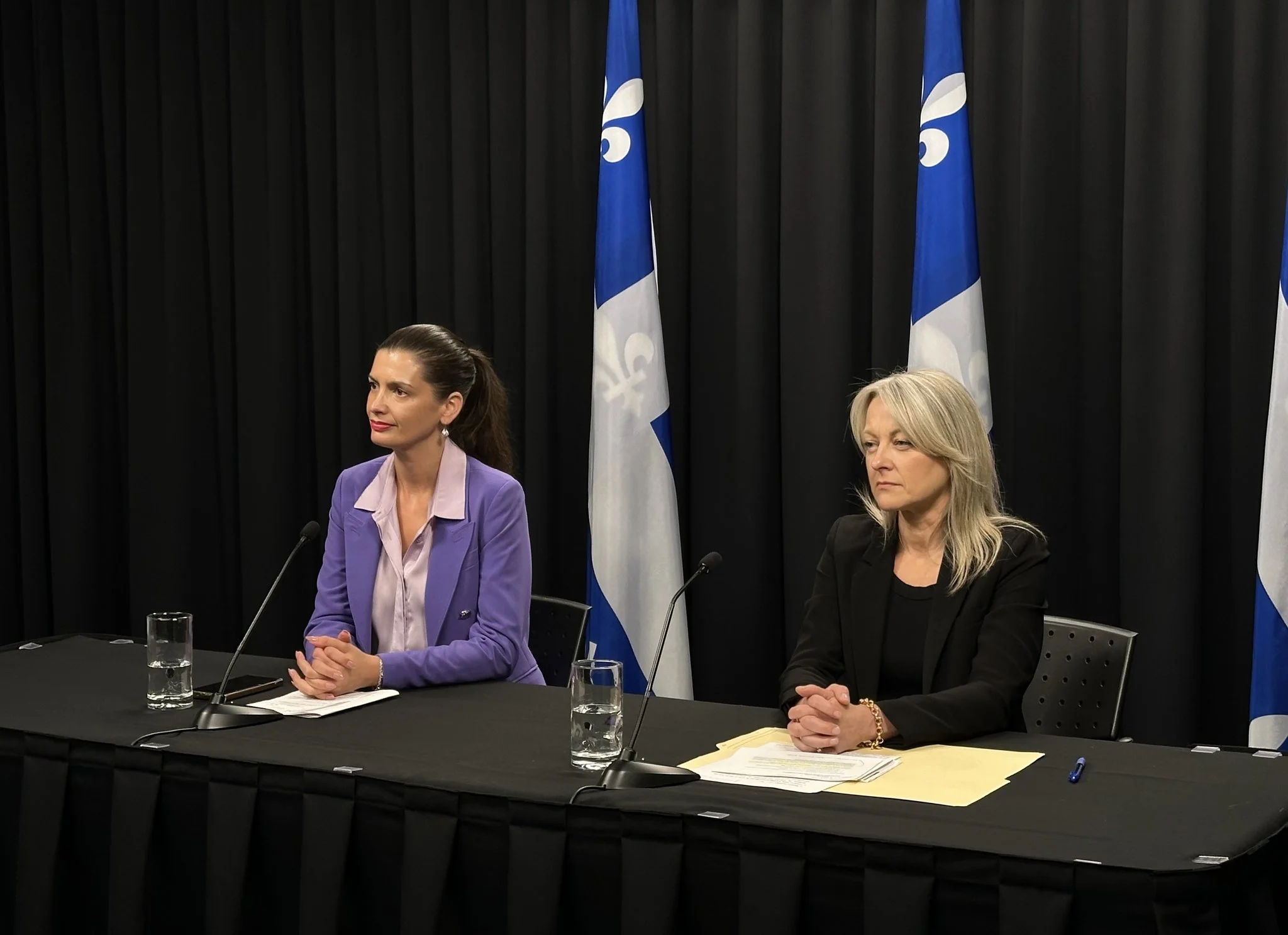 SAAQ : Annie Lafond nommée PDG par intérim en pleine période de redressement