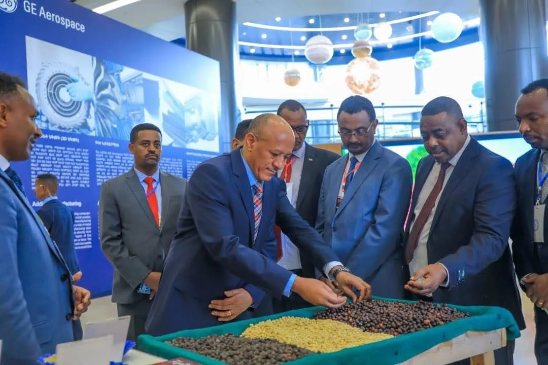 Éthiopie : l’État vise 3 milliards de dollars de recettes grâce aux exportations de café en 2025-2026