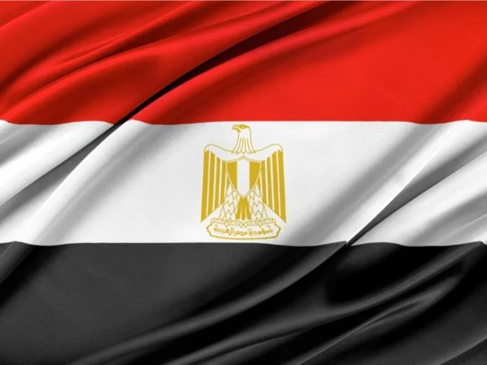 Egypte : le nouveau Code de procédure pénale présenté à l’UE