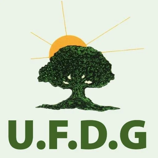 Guinée : l’UFDG suspendue six mois, la Transition durcit le ton