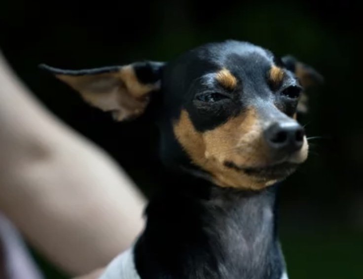 Image 5-25-25 at 12.20 PM.jpeg