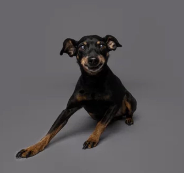 Image 5-25-25 at 12.20 PM.jpeg