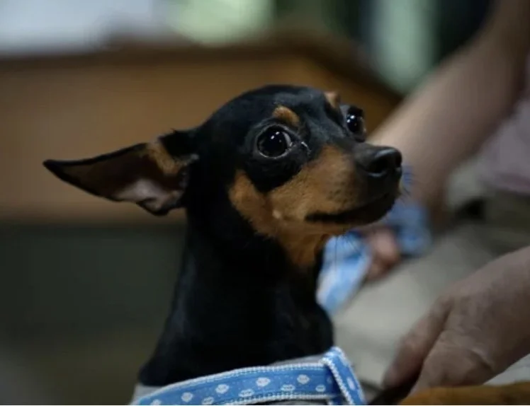 Image 5-25-25 at 12.19 PM.jpeg