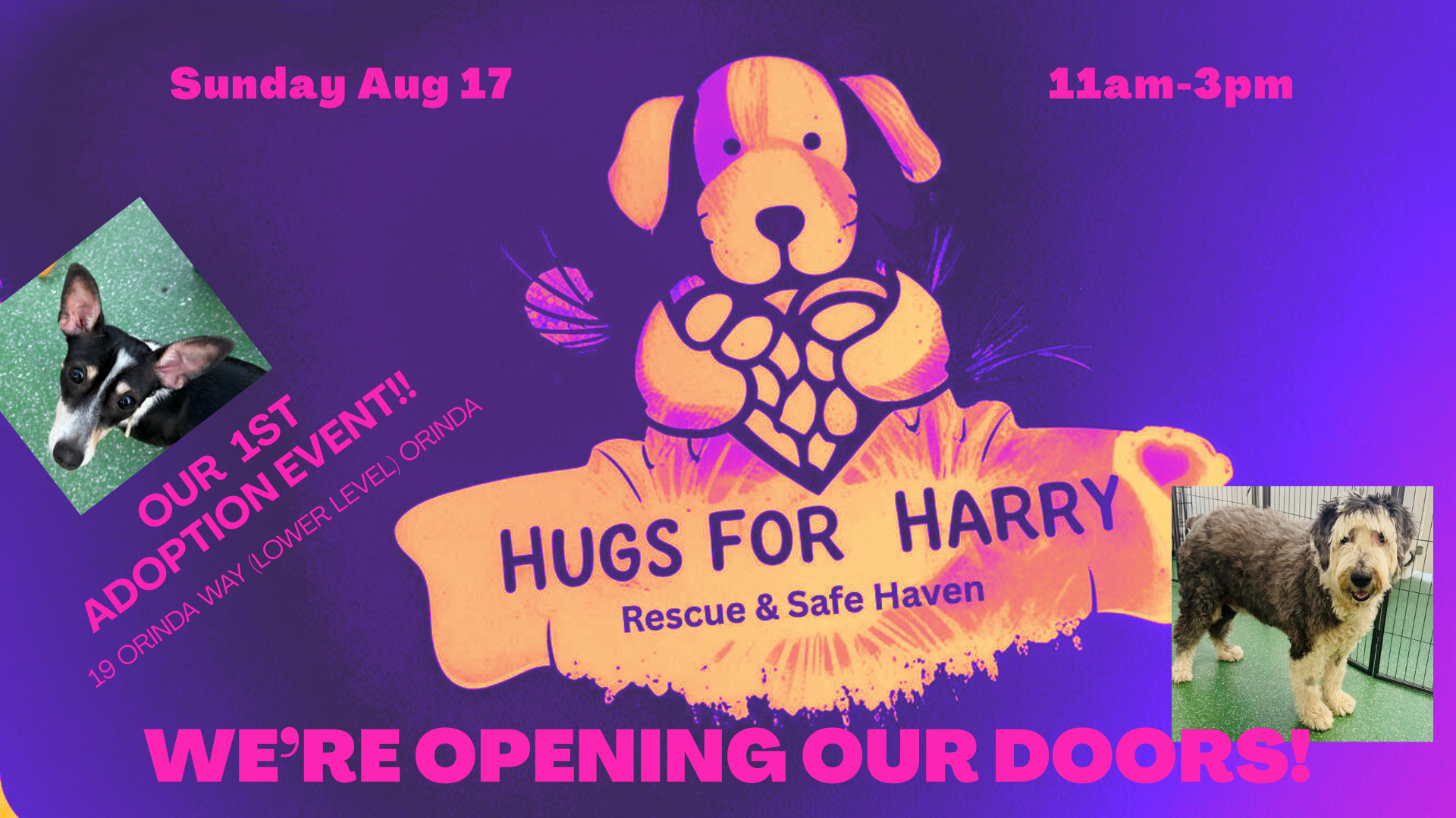 Hugs Haven Adoption Event