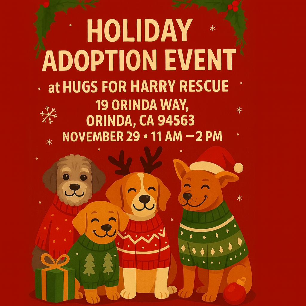 Holiday Adoption Event