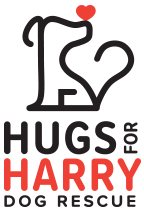 Hugs for Harry